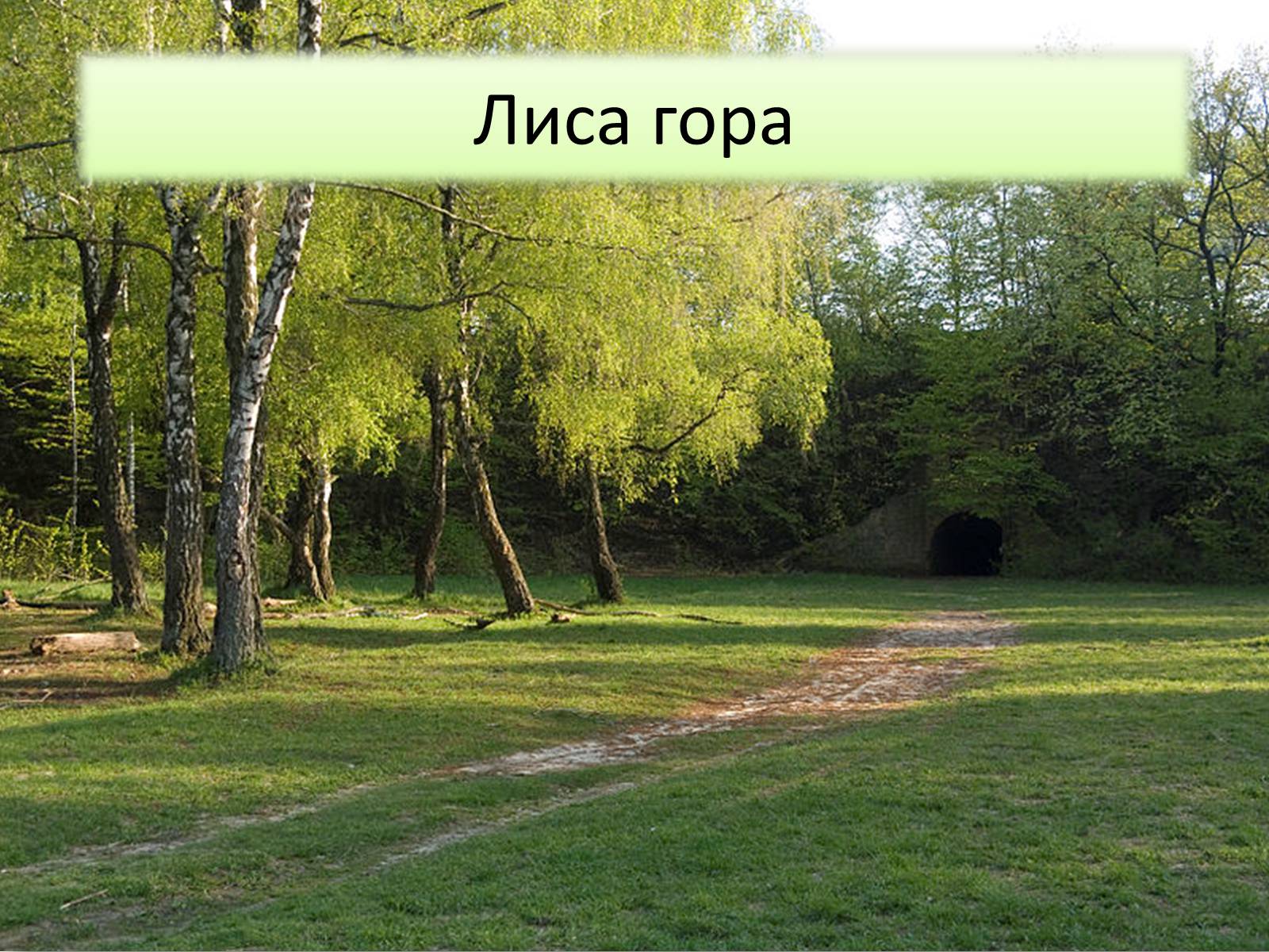 Презентація на тему «Ландшафтні парки України» (варіант 1) - Слайд #8 Презентація на тему «Ландшафтні парки України» (варіант 1) - Слайд #8