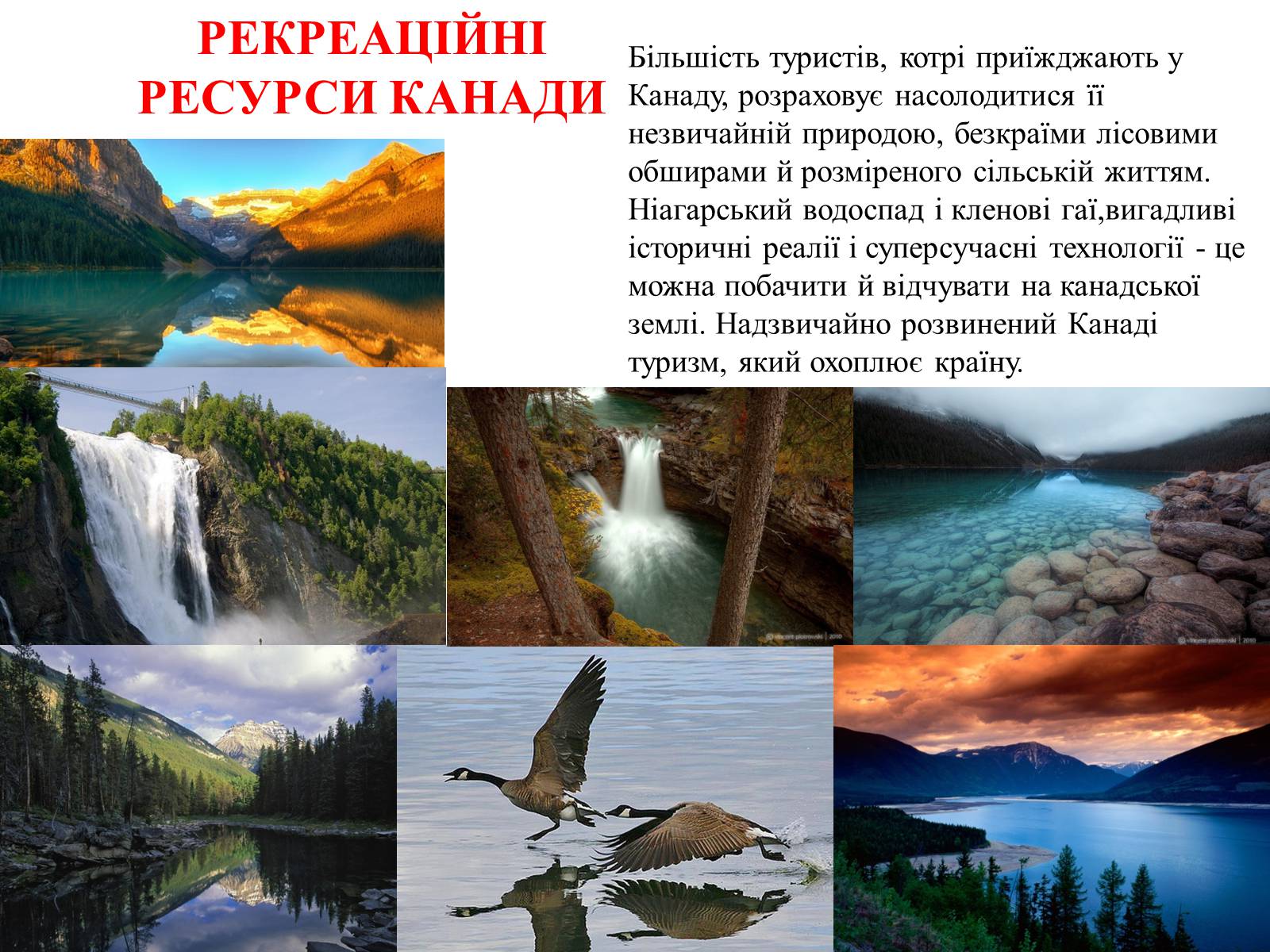 Презентація на тему «Загальна характеристика Канади» - Слайд #5 Презентація на тему «Загальна характеристика Канади» - Слайд #5
