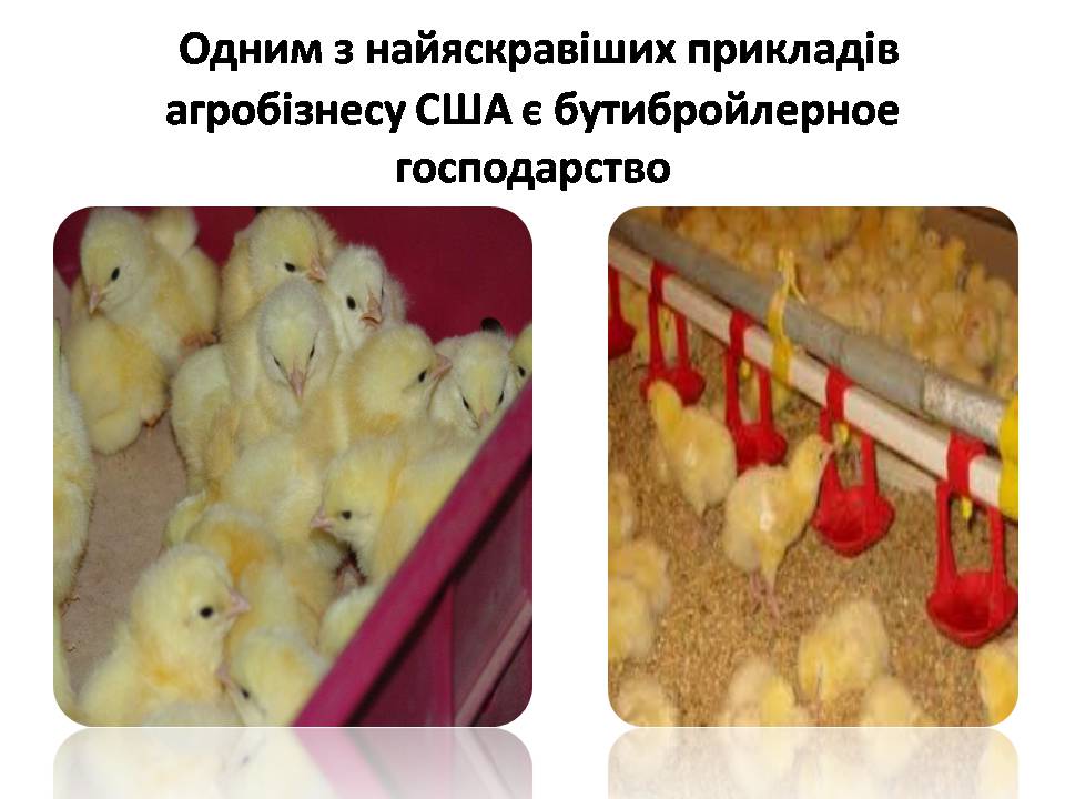 Презентація на тему «США» (варіант 31) - Слайд #28 Презентація на тему «США» (варіант 31) - Слайд #28