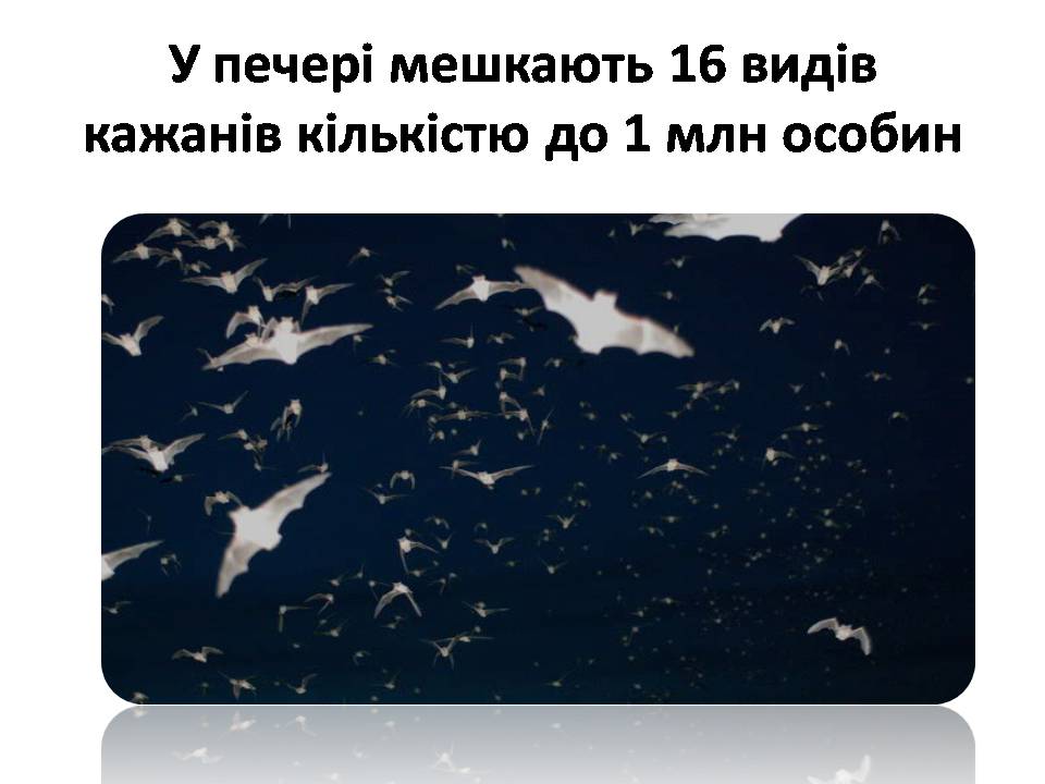 Презентація на тему «США» (варіант 31) - Слайд #52 Презентація на тему «США» (варіант 31) - Слайд #52