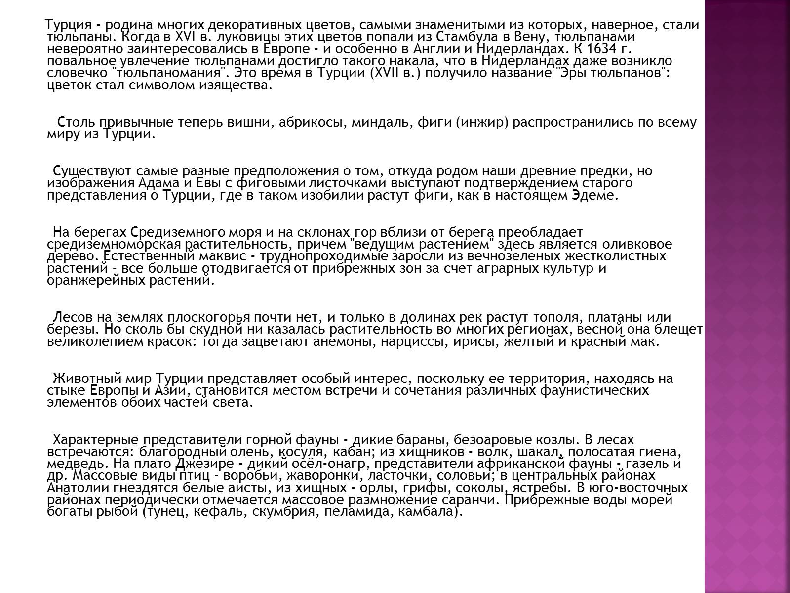 Презентація на тему «Турция» - Слайд #9 Презентація на тему «Турция» - Слайд #9