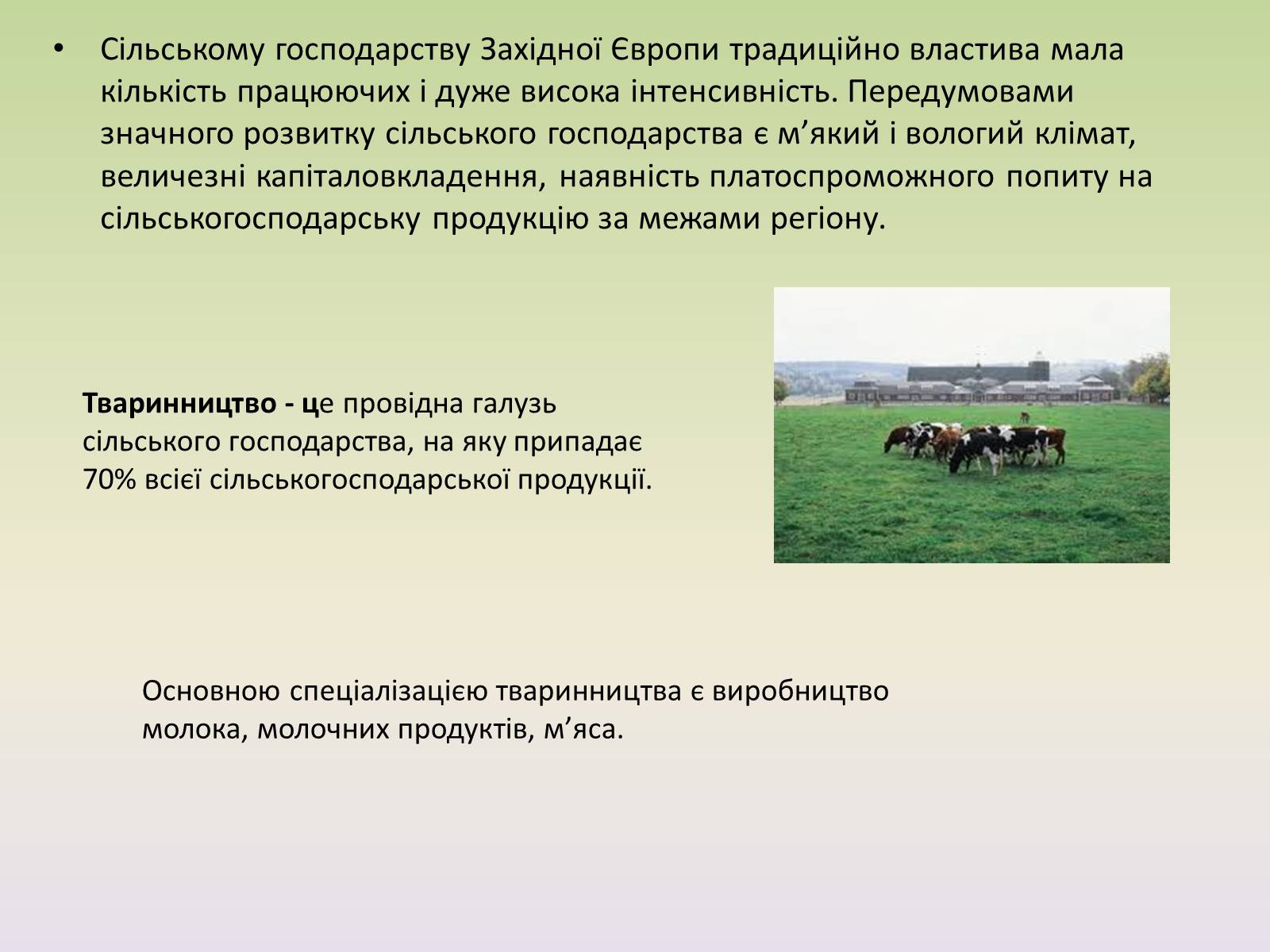 Презентація на тему «Європейські регіони. Західна Європа» - Слайд #15 Презентація на тему «Європейські регіони. Західна Європа» - Слайд #15