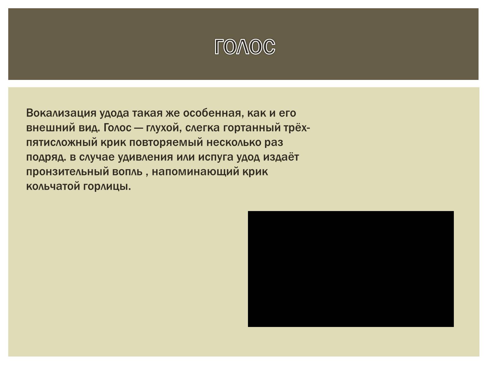 Презентація на тему «Птица года 2012: УДОД» - Слайд #4 Презентація на тему «Птица года 2012: УДОД» - Слайд #4