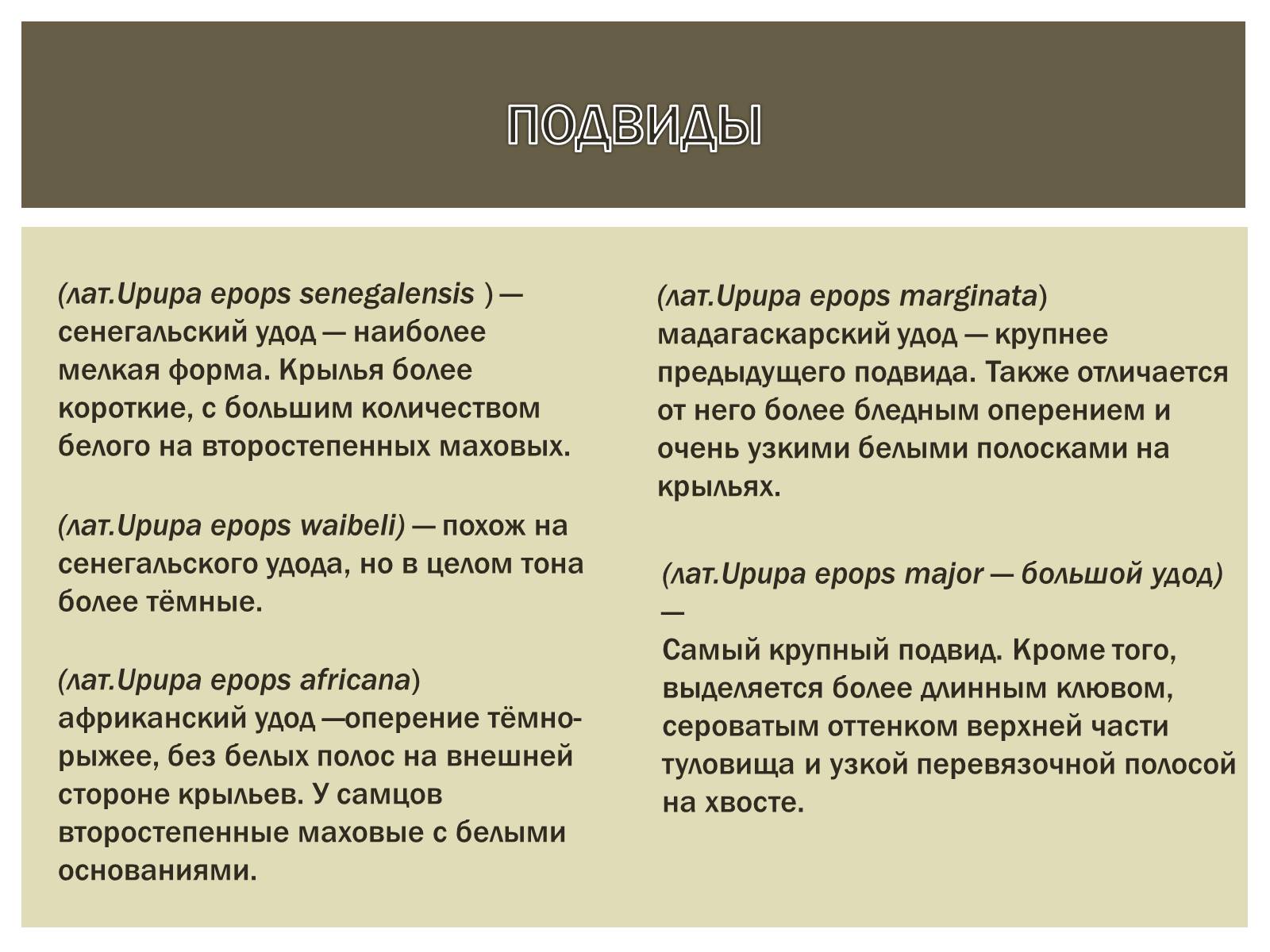 Презентація на тему «Птица года 2012: УДОД» - Слайд #9 Презентація на тему «Птица года 2012: УДОД» - Слайд #9