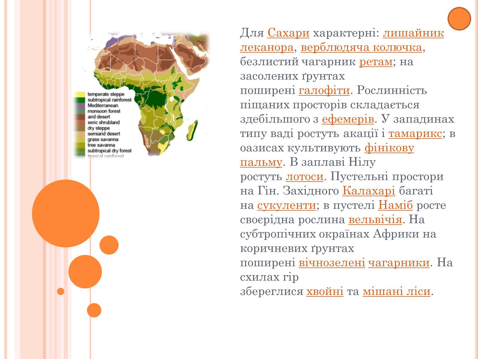 Презентація на тему «Африка» (варіант 11) - Слайд #12 Презентація на тему «Африка» (варіант 11) - Слайд #12