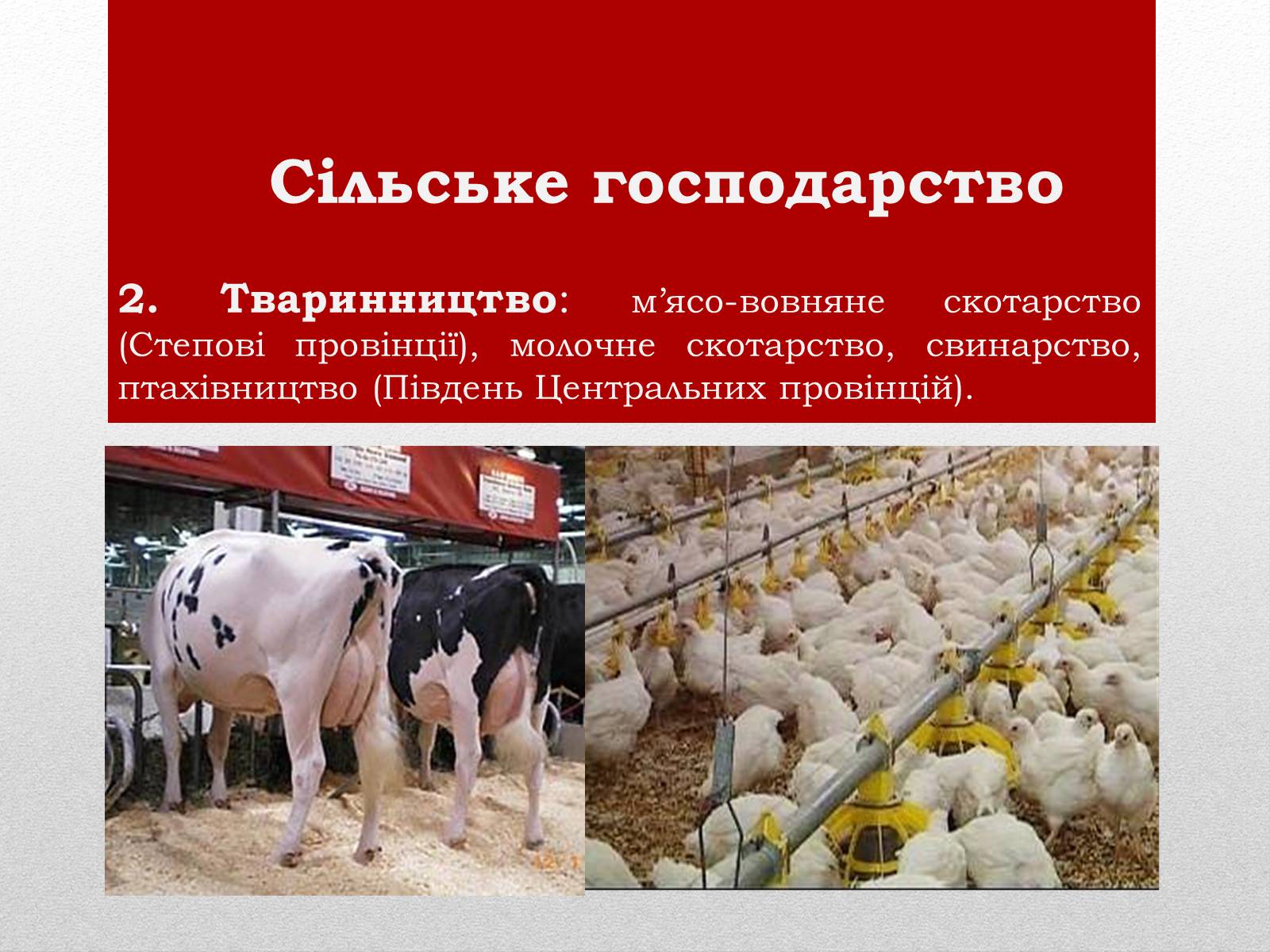 Презентація на тему «Канада» (варіант 21) - Слайд #17 Презентація на тему «Канада» (варіант 21) - Слайд #17