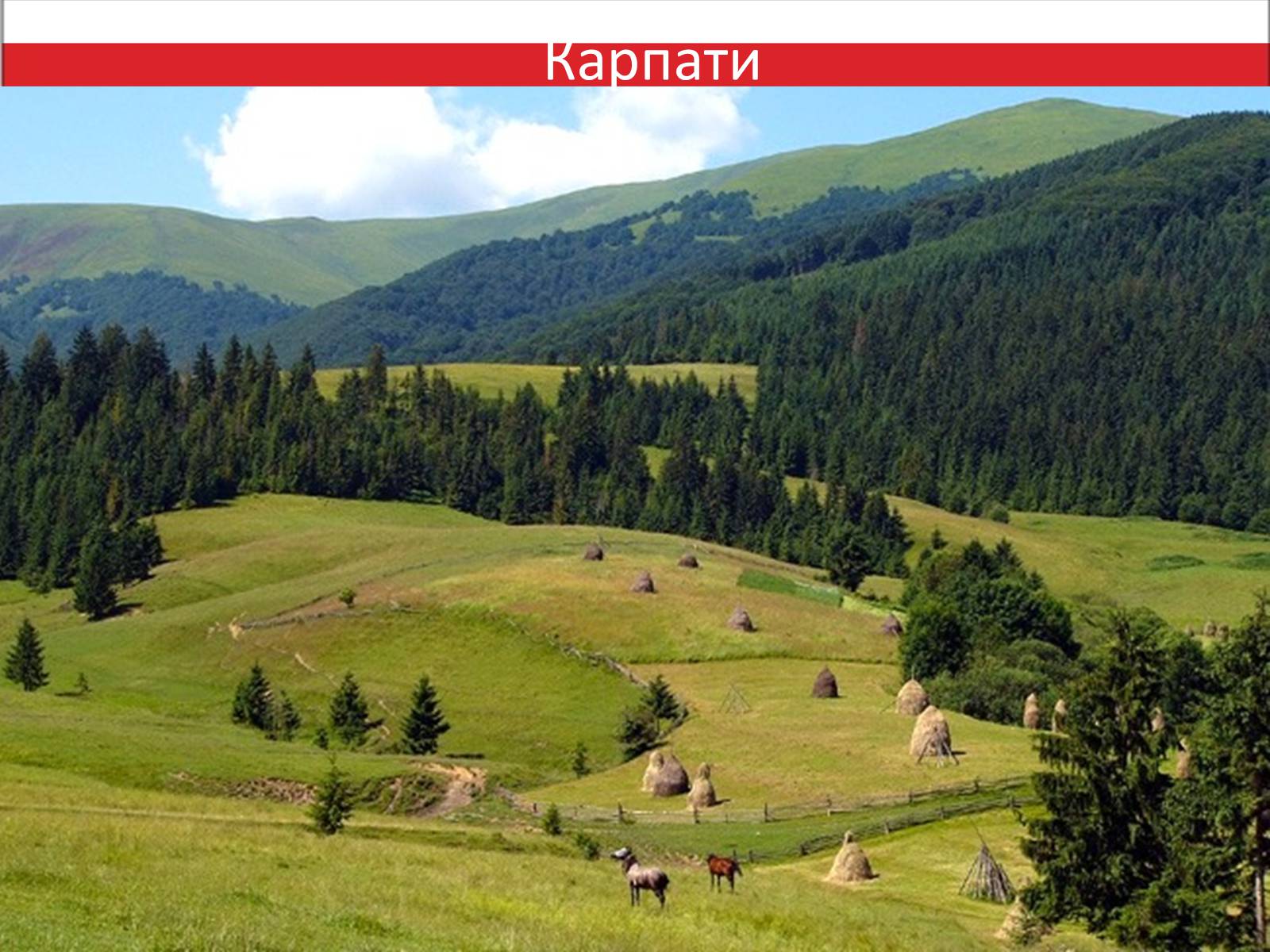 Презентація на тему «Республіка Польща» (варіант 7) - Слайд #14 Презентація на тему «Республіка Польща» (варіант 7) - Слайд #14