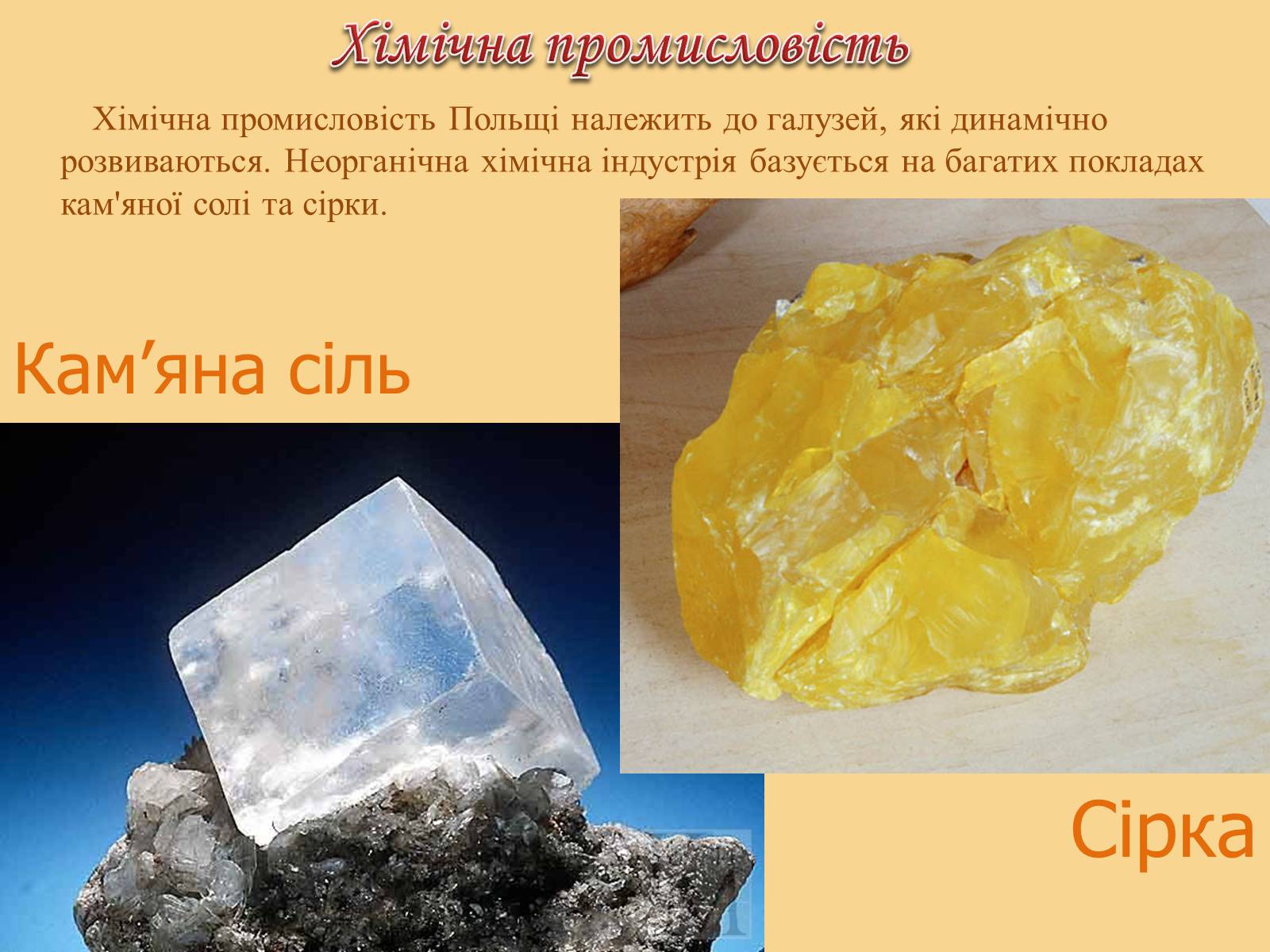 Презентація на тему «Республіка Польща» (варіант 7) - Слайд #27 Презентація на тему «Республіка Польща» (варіант 7) - Слайд #27