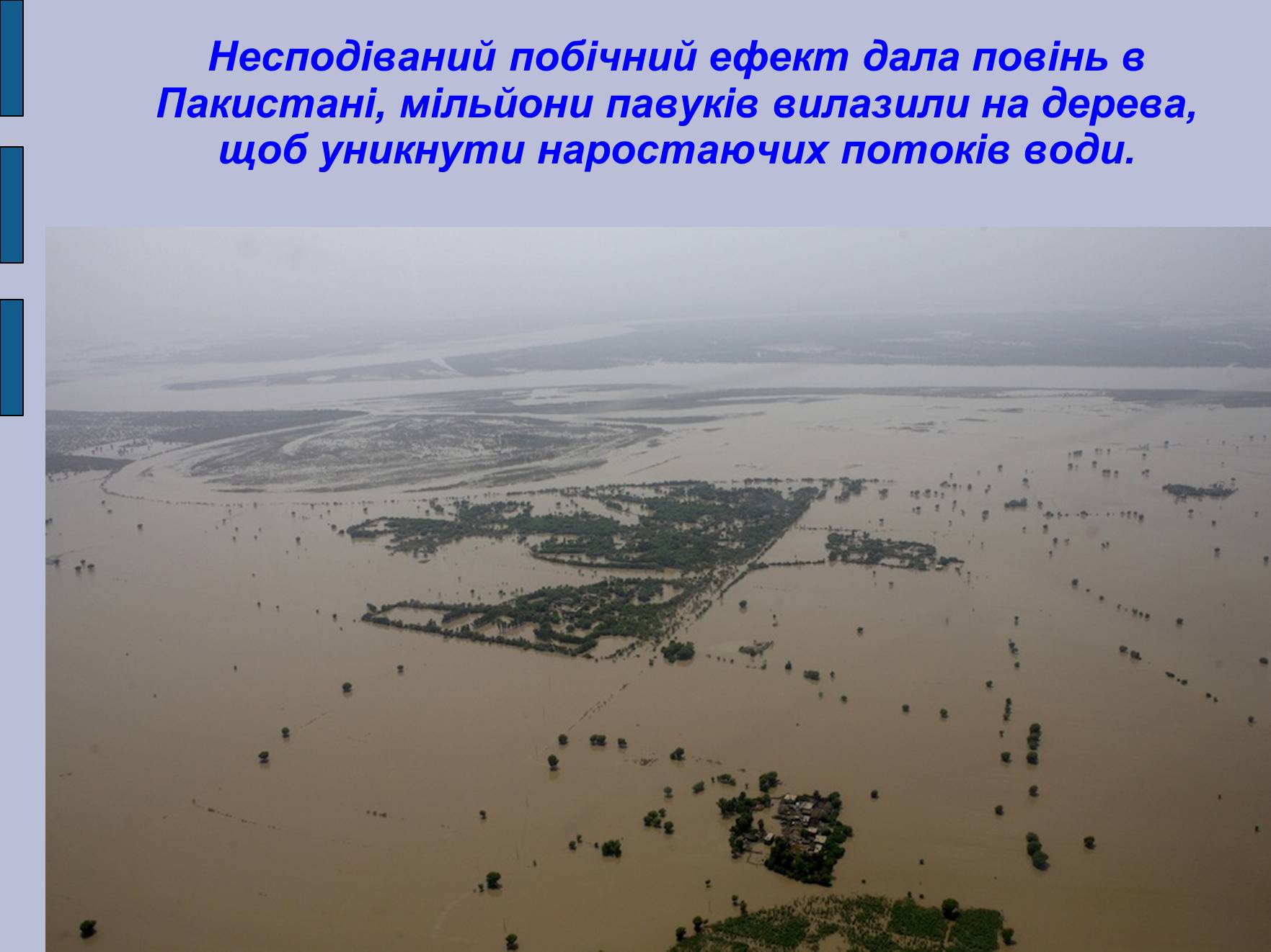 Презентація на тему «Глобальні проблеми людства» (варіант 17) - Слайд #17 Презентація на тему «Глобальні проблеми людства» (варіант 17) - Слайд #17