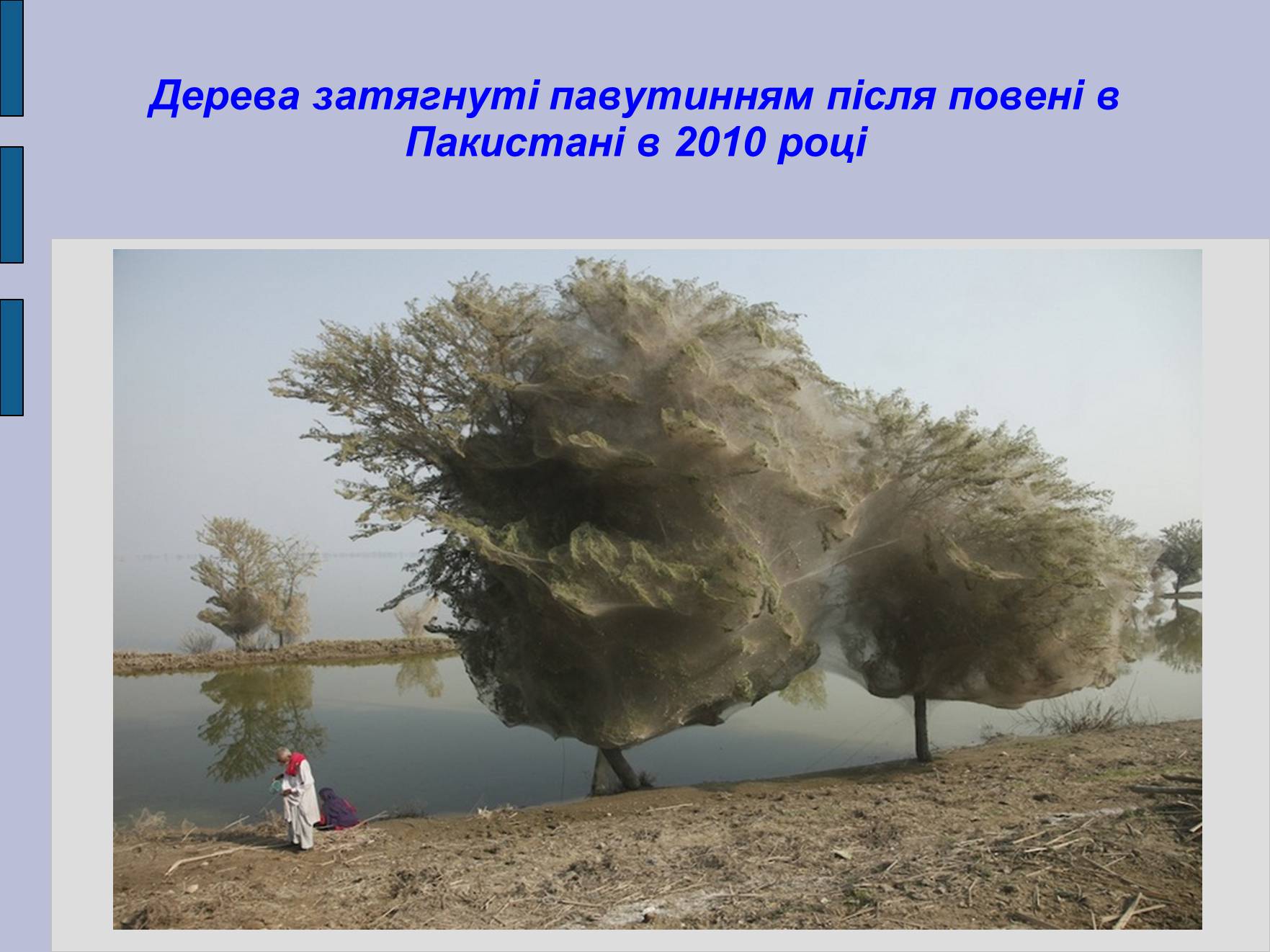 Презентація на тему «Глобальні проблеми людства» (варіант 17) - Слайд #18 Презентація на тему «Глобальні проблеми людства» (варіант 17) - Слайд #18