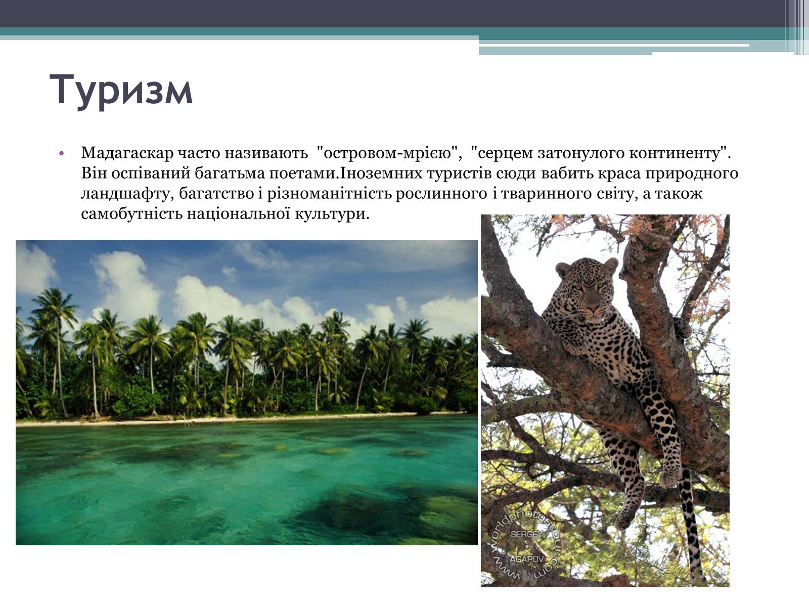 Презентація на тему «Мадагаскар» (варіант 3) - Слайд #5 Презентація на тему «Мадагаскар» (варіант 3) - Слайд #5