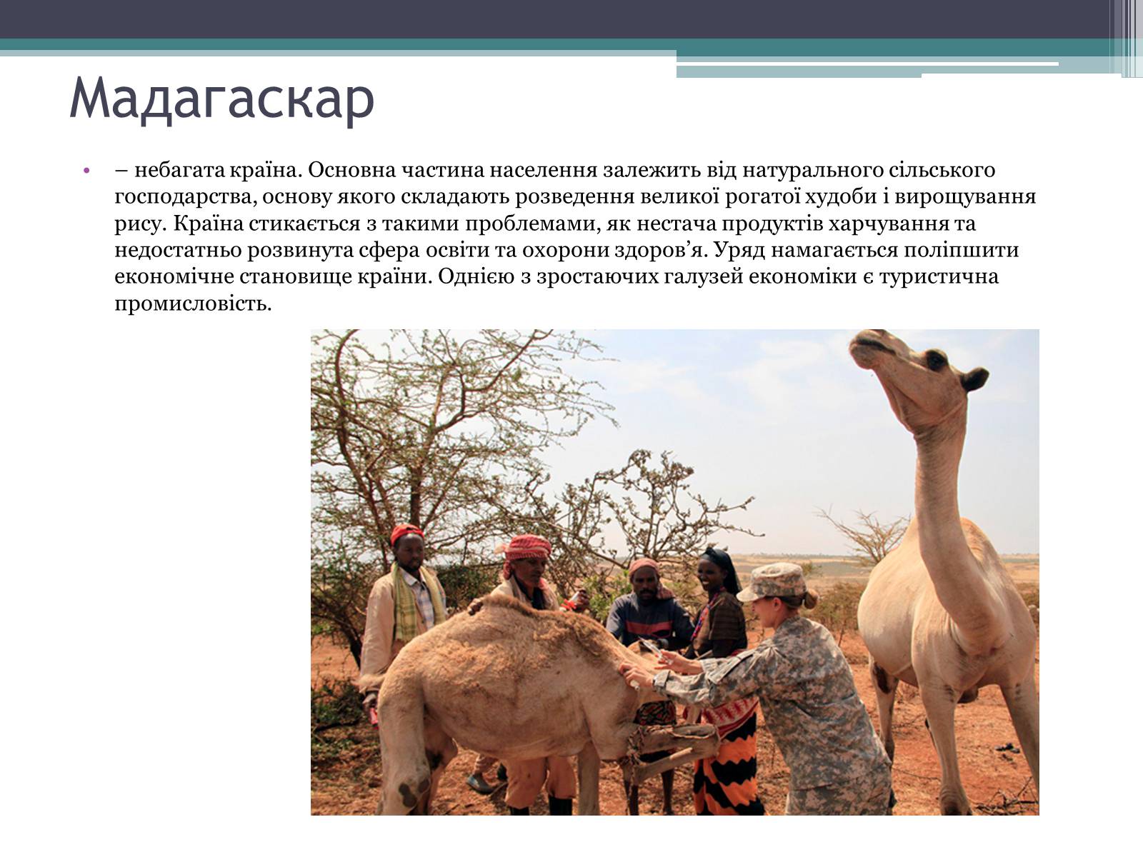 Презентація на тему «Мадагаскар» (варіант 3) - Слайд #6 Презентація на тему «Мадагаскар» (варіант 3) - Слайд #6