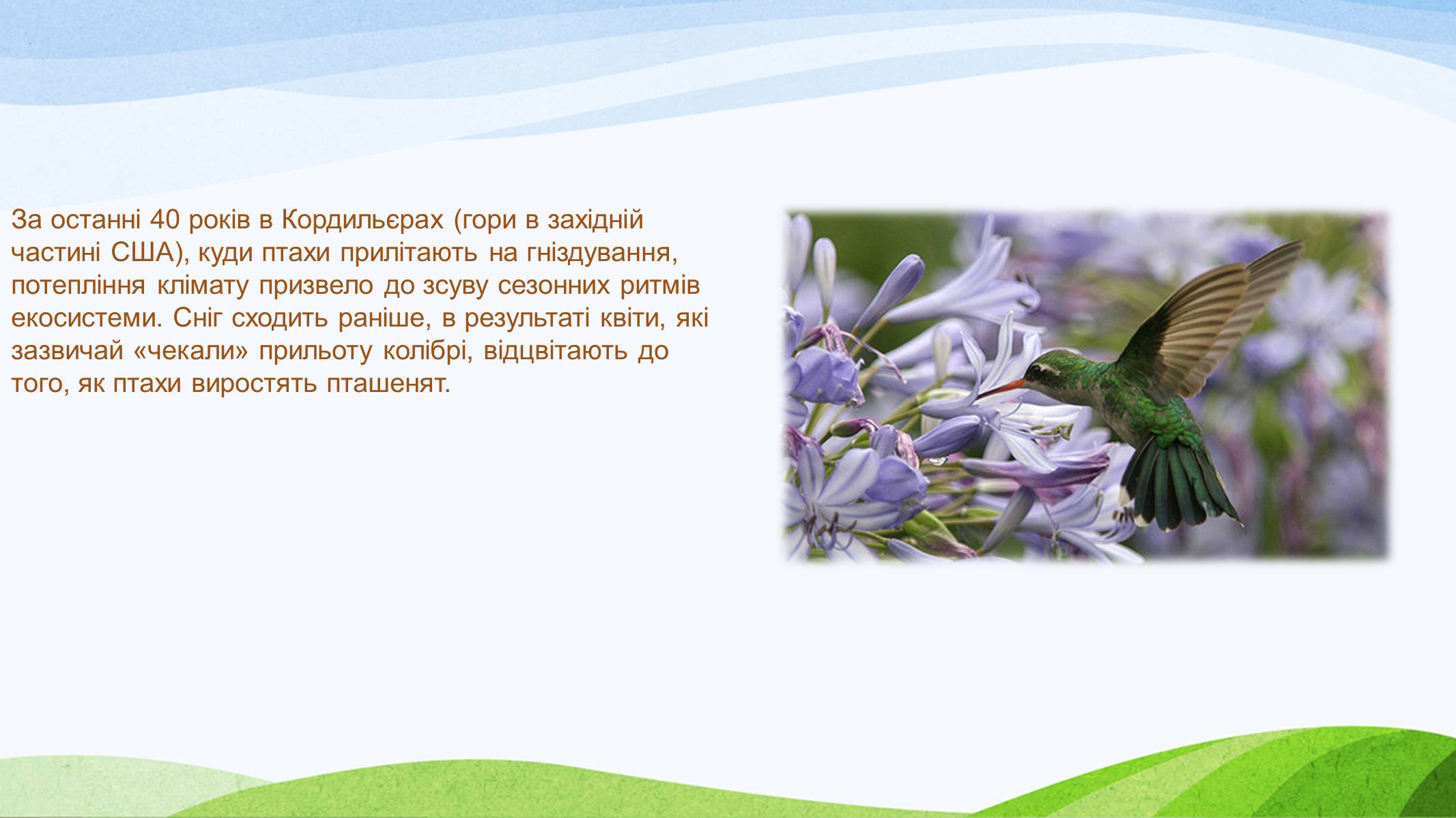 Презентація на тему «Потепління клімату, парниковий ефект» - Слайд #16 Презентація на тему «Потепління клімату, парниковий ефект» - Слайд #16