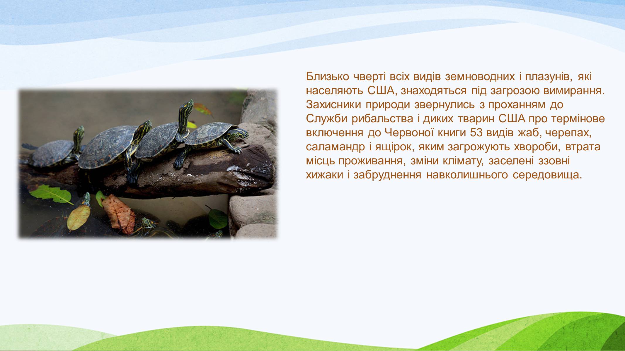 Презентація на тему «Потепління клімату, парниковий ефект» - Слайд #19 Презентація на тему «Потепління клімату, парниковий ефект» - Слайд #19