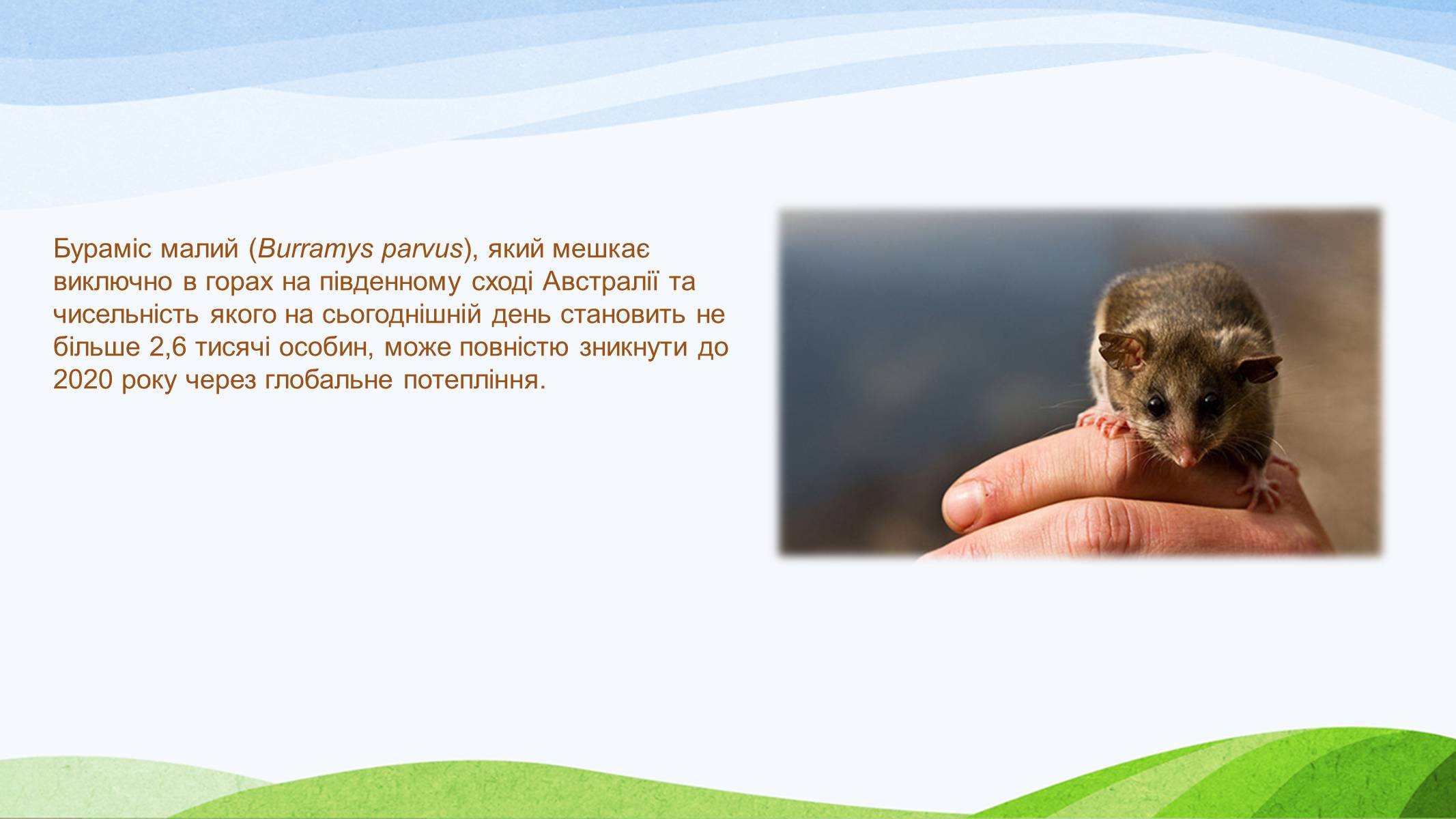 Презентація на тему «Потепління клімату, парниковий ефект» - Слайд #20 Презентація на тему «Потепління клімату, парниковий ефект» - Слайд #20