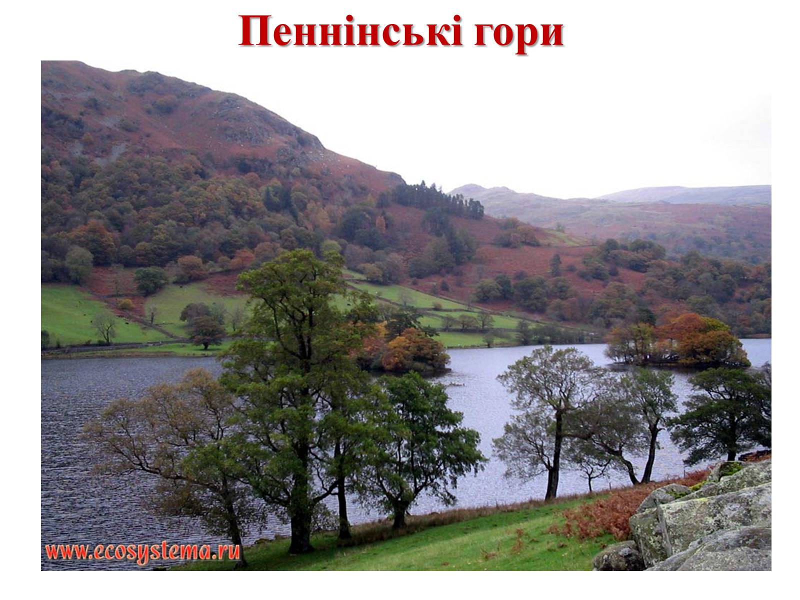 Презентація на тему «Велика Британія» (варіант 10) - Слайд #8 Презентація на тему «Велика Британія» (варіант 10) - Слайд #8