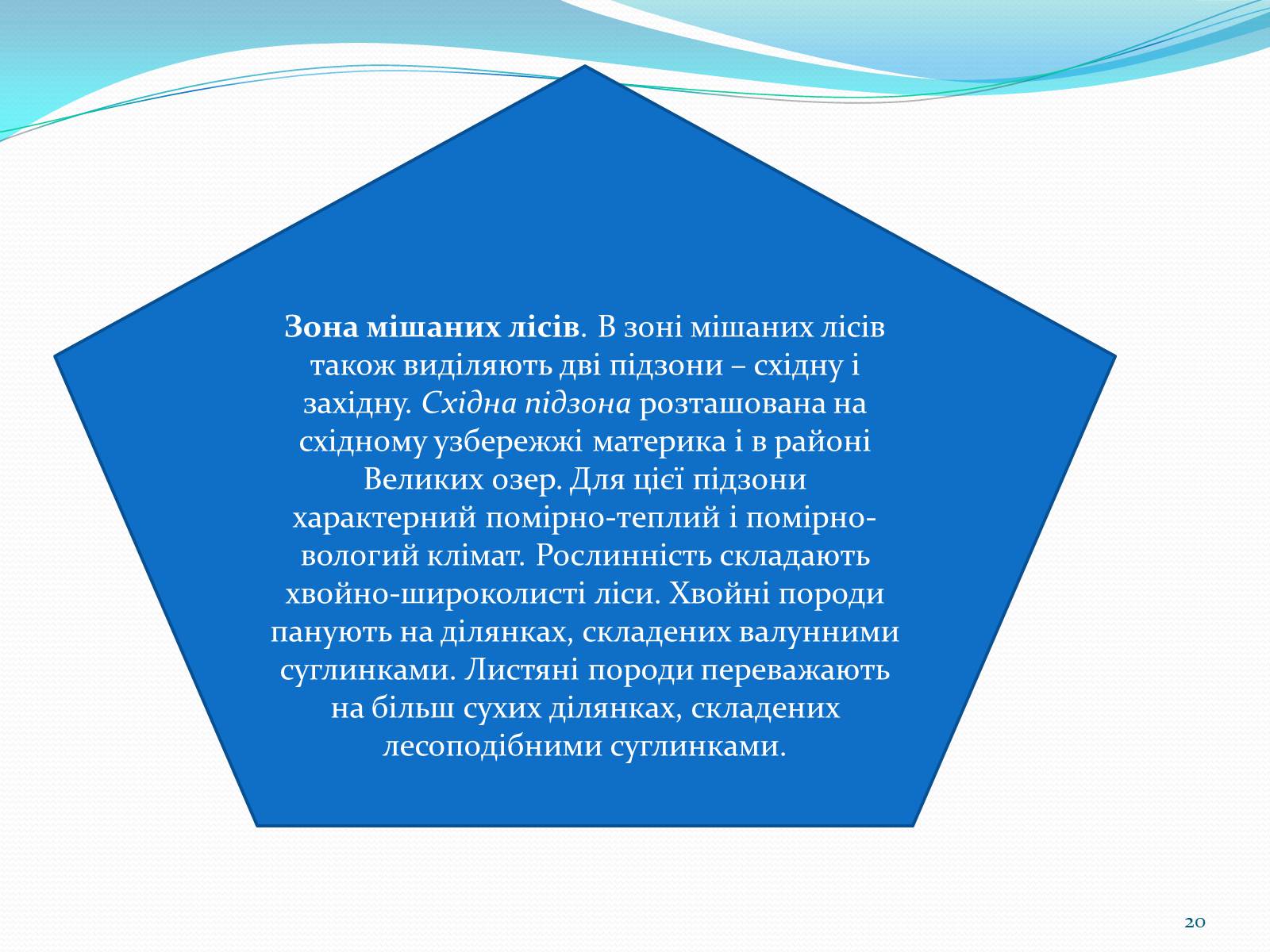 Презентація на тему «Помірний кліматичний пояс» - Слайд #20 Презентація на тему «Помірний кліматичний пояс» - Слайд #20