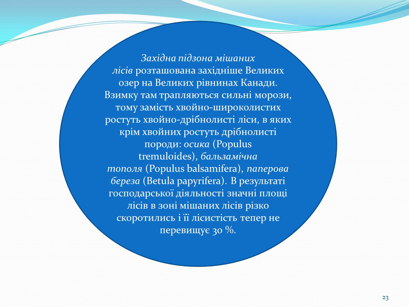 Презентація на тему «Помірний кліматичний пояс» - Слайд #23 Презентація на тему «Помірний кліматичний пояс» - Слайд #23