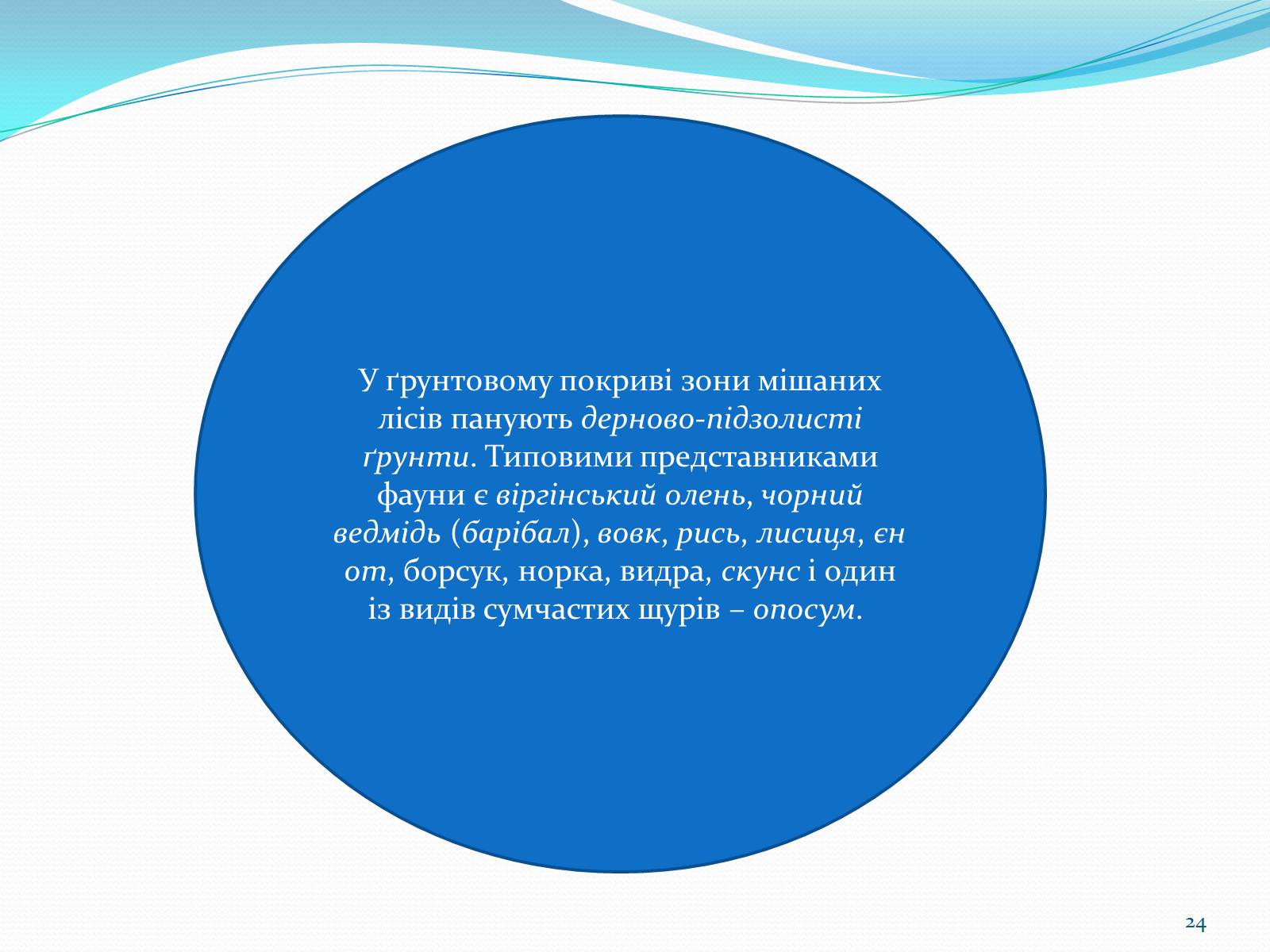 Презентація на тему «Помірний кліматичний пояс» - Слайд #24 Презентація на тему «Помірний кліматичний пояс» - Слайд #24