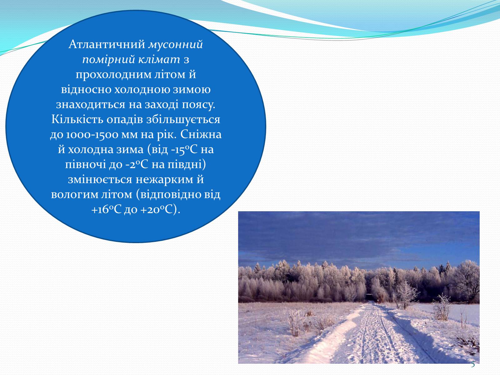 Презентація на тему «Помірний кліматичний пояс» - Слайд #5 Презентація на тему «Помірний кліматичний пояс» - Слайд #5