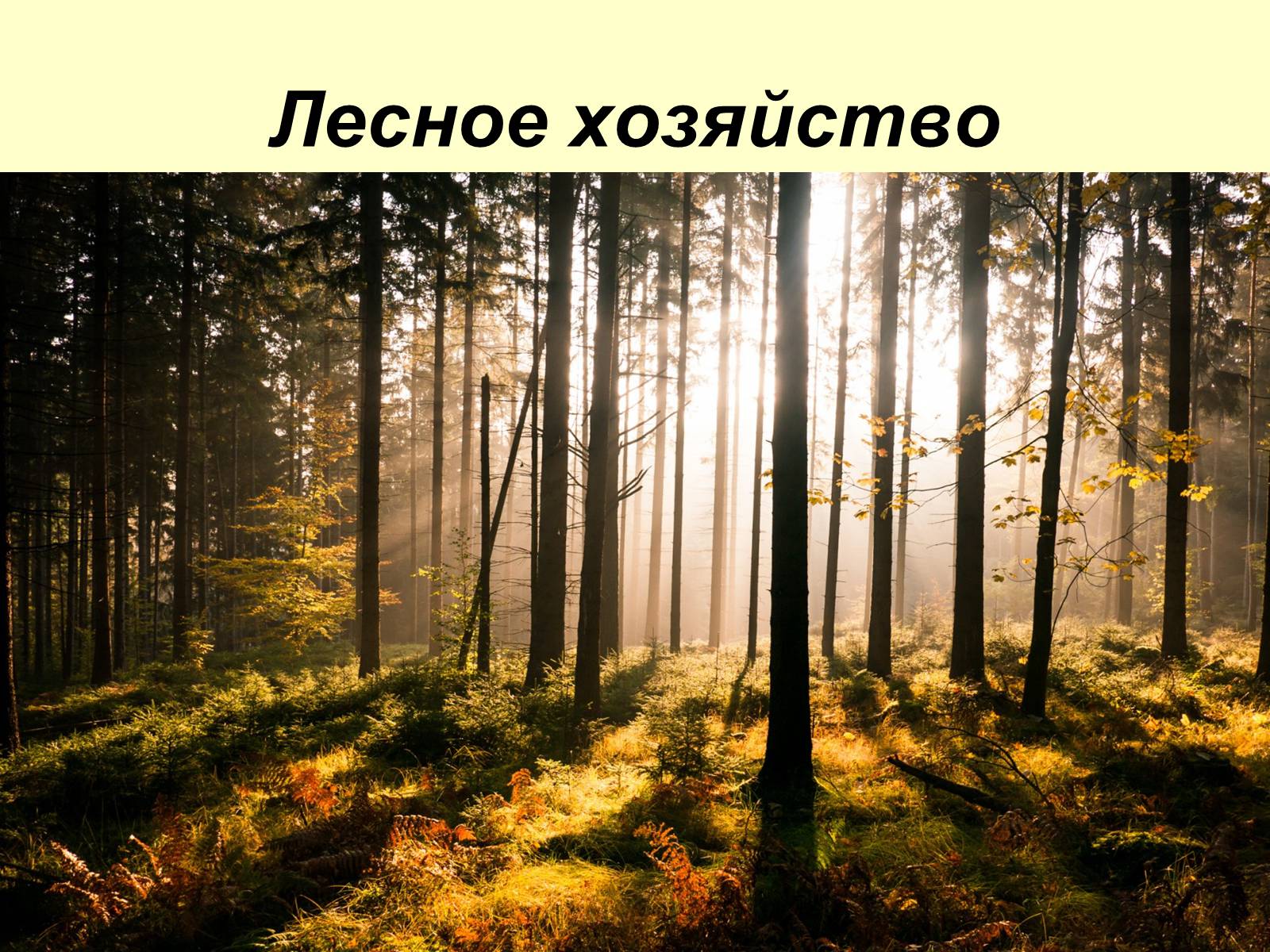 Презентація на тему «Испания» (варіант 5) - Слайд #23 Презентація на тему «Испания» (варіант 5) - Слайд #23