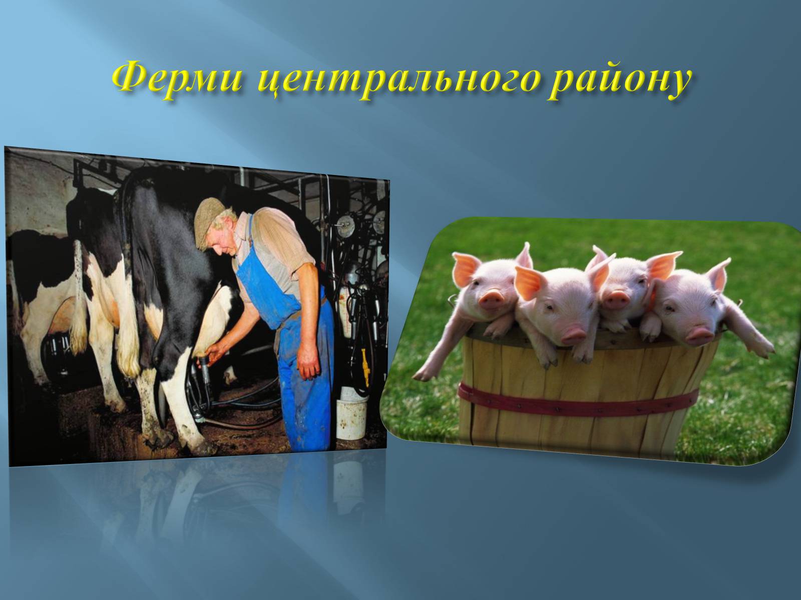 Презентація на тему «Економіко-географічний поділ України» (варіант 1) - Слайд #15 Презентація на тему «Економіко-географічний поділ України» (варіант 1) - Слайд #15