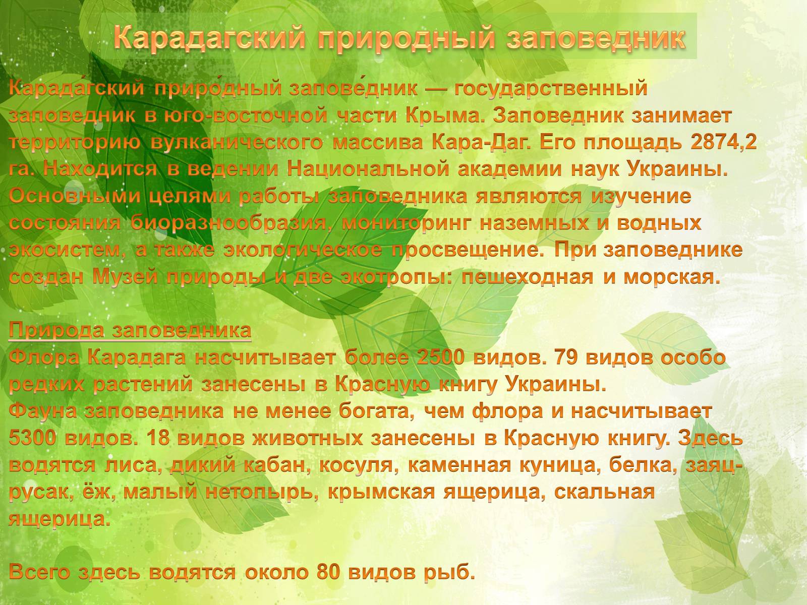 Презентація на тему «Заповедники Украины» (варіант 2) - Слайд #15 Презентація на тему «Заповедники Украины» (варіант 2) - Слайд #15