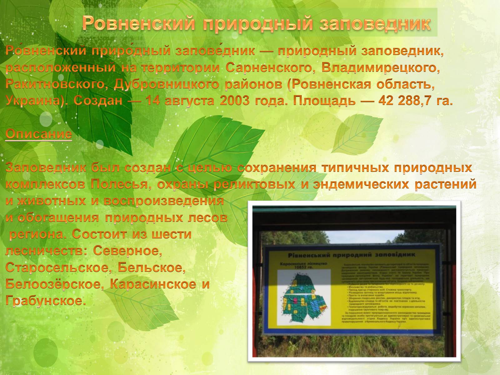 Презентація на тему «Заповедники Украины» (варіант 2) - Слайд #33 Презентація на тему «Заповедники Украины» (варіант 2) - Слайд #33