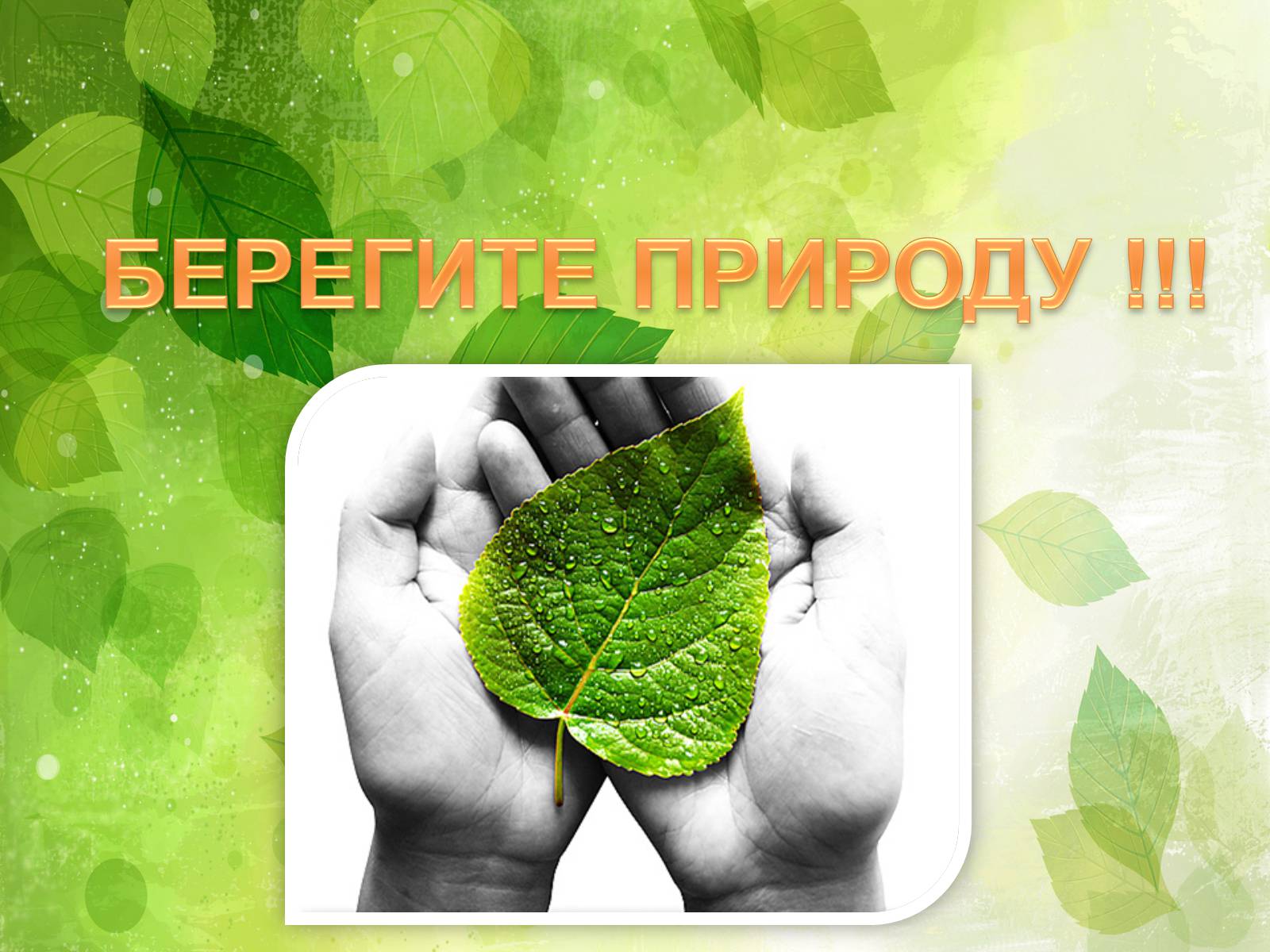 Презентація на тему «Заповедники Украины» (варіант 2) - Слайд #41 Презентація на тему «Заповедники Украины» (варіант 2) - Слайд #41