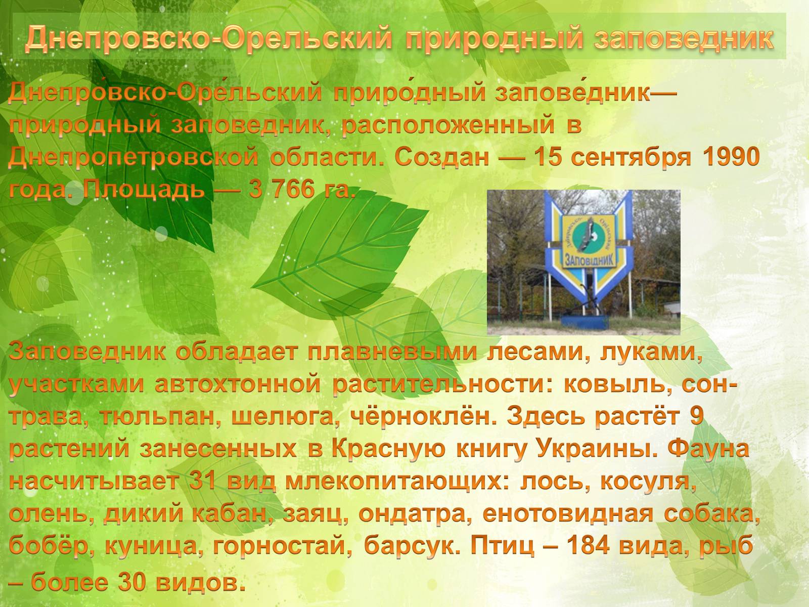 Презентація на тему «Заповедники Украины» (варіант 2) - Слайд #6 Презентація на тему «Заповедники Украины» (варіант 2) - Слайд #6