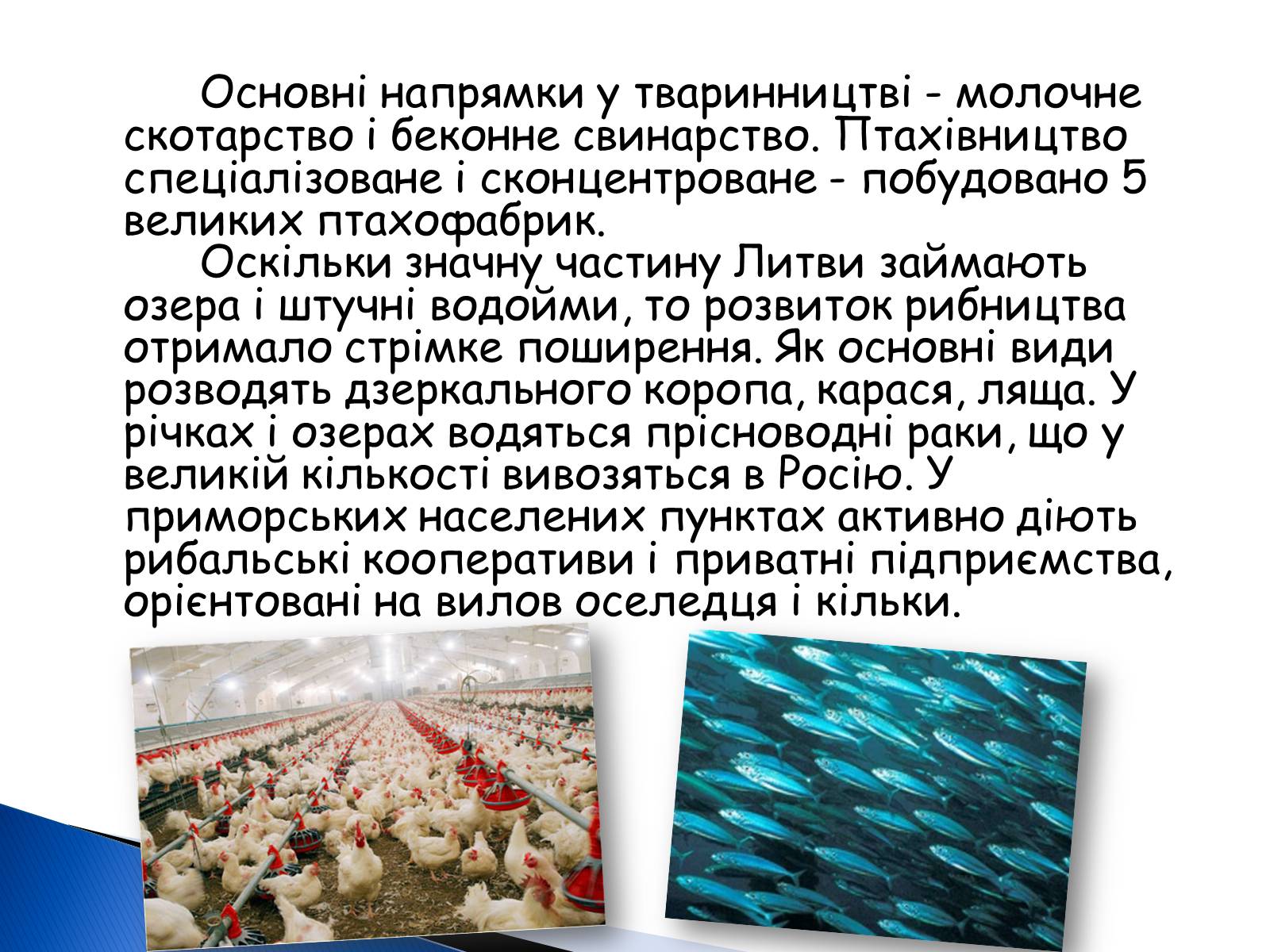 Презентація на тему «Литовська республіка» - Слайд #15 Презентація на тему «Литовська республіка» - Слайд #15