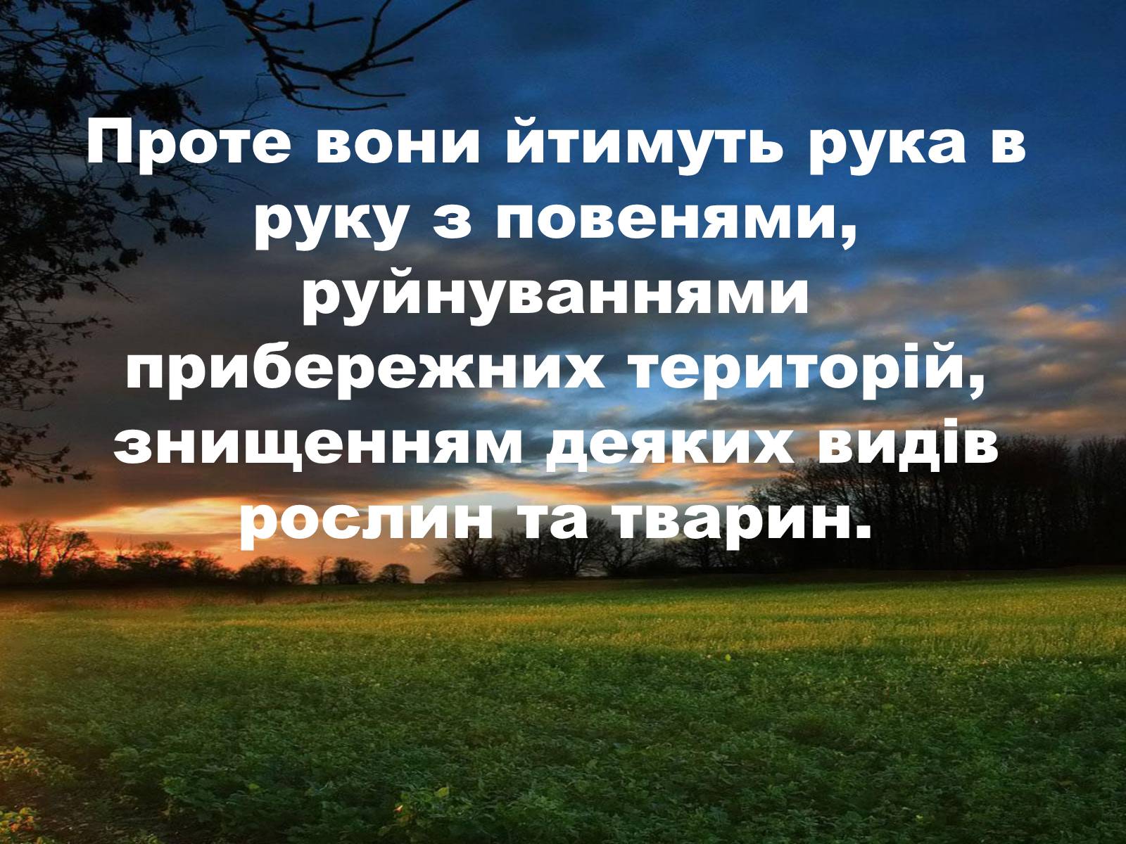 Презентація на тему «Глобальне потепління: що за ним криється?» - Слайд #33 Презентація на тему «Глобальне потепління: що за ним криється?» - Слайд #33