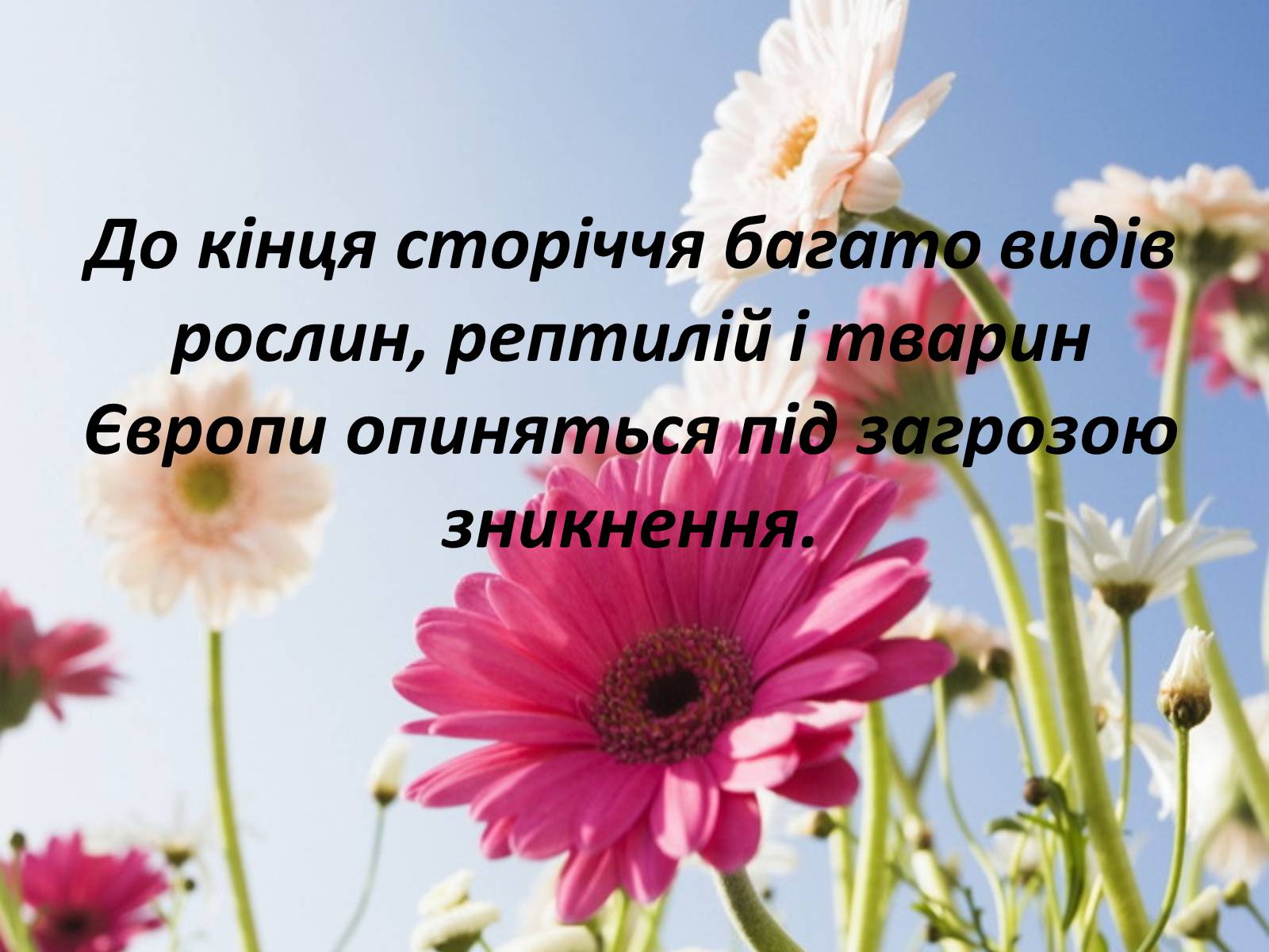 Презентація на тему «Глобальне потепління: що за ним криється?» - Слайд #34 Презентація на тему «Глобальне потепління: що за ним криється?» - Слайд #34