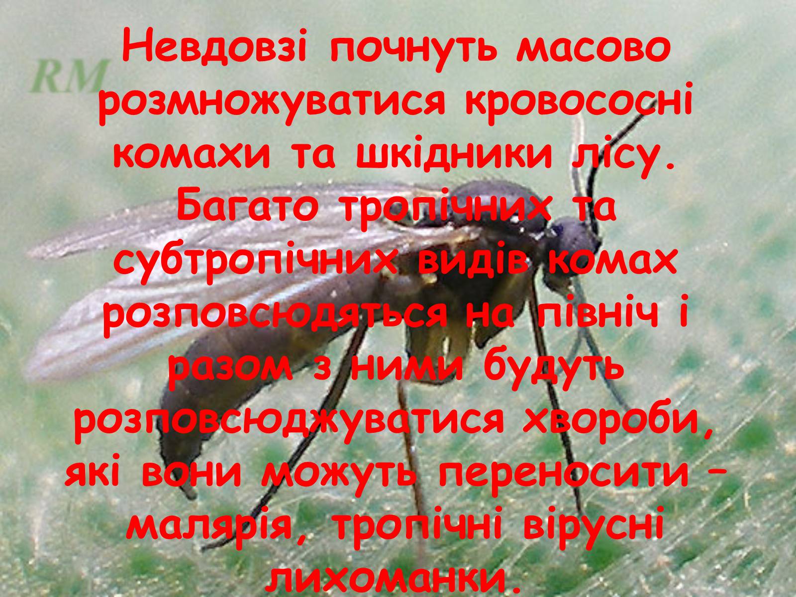 Презентація на тему «Глобальне потепління: що за ним криється?» - Слайд #43 Презентація на тему «Глобальне потепління: що за ним криється?» - Слайд #43