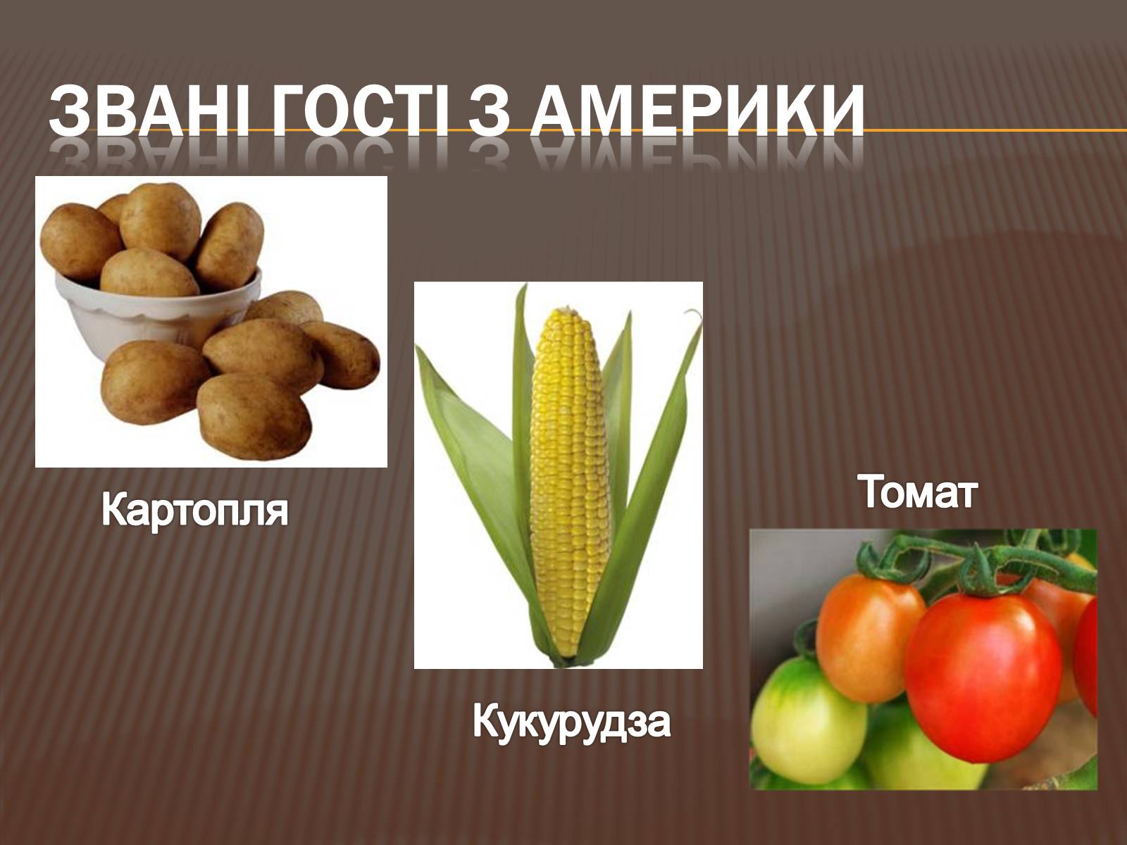Презентація на тему «Відкриття Америки» - Слайд #8 Презентація на тему «Відкриття Америки» - Слайд #8