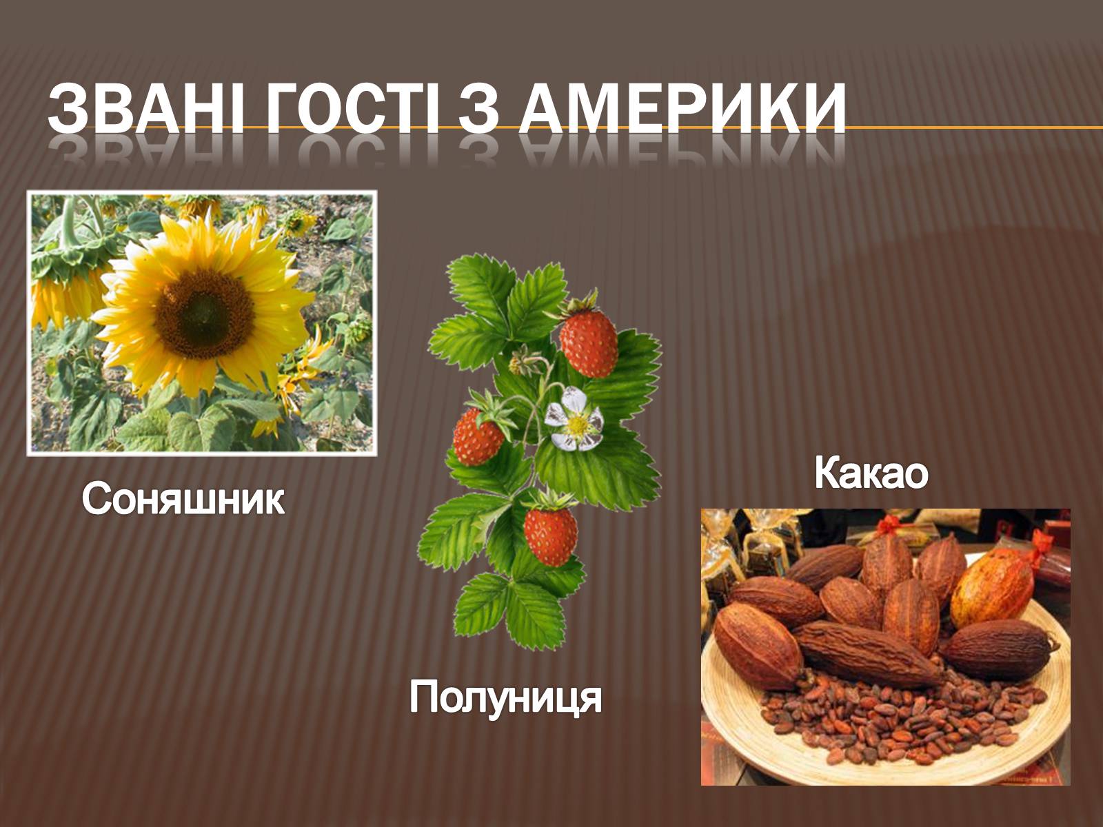 Презентація на тему «Відкриття Америки» - Слайд #9 Презентація на тему «Відкриття Америки» - Слайд #9
