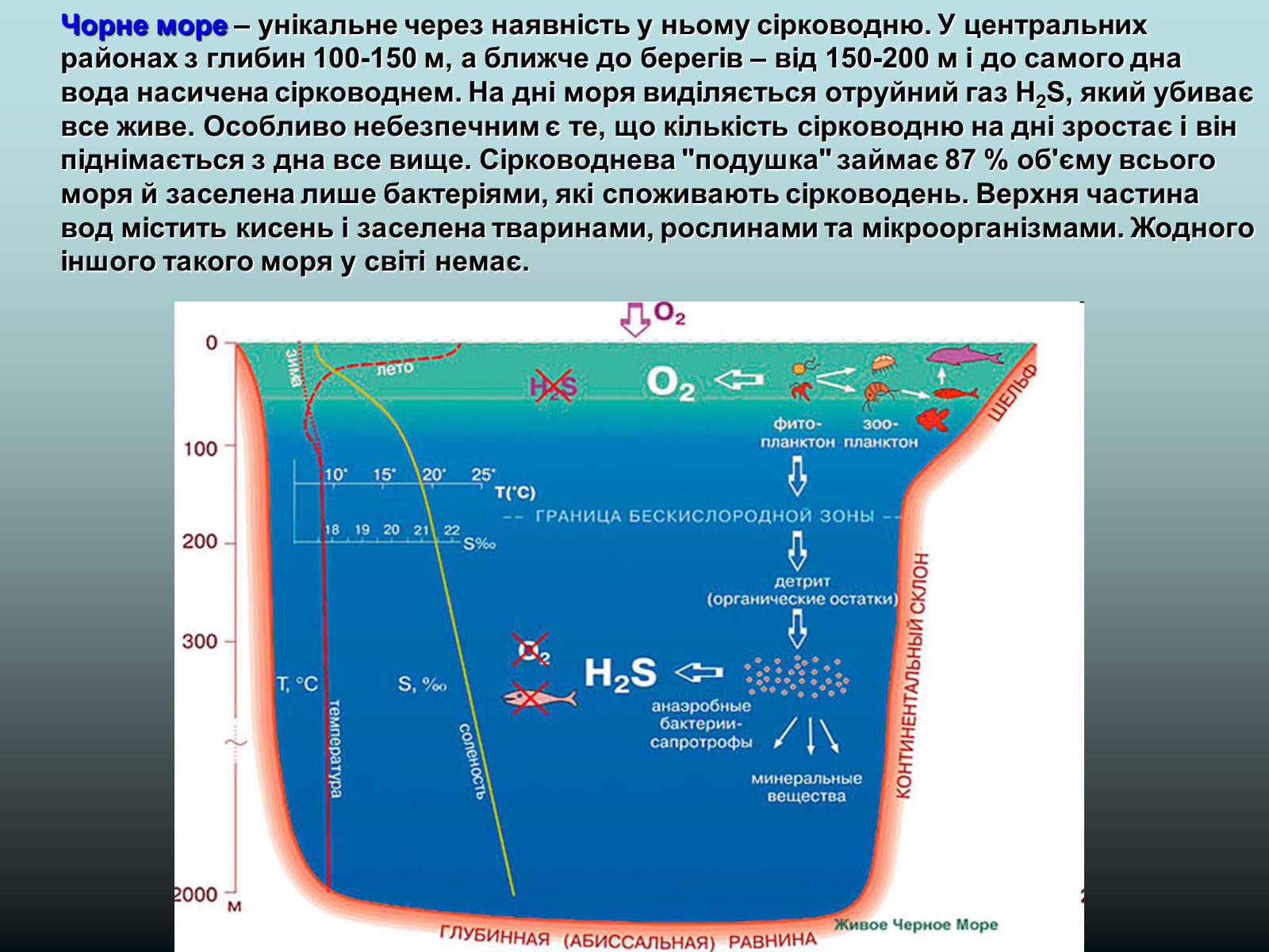 Презентація на тему «Фізико - географічна характеристика Чорного моря» - Слайд #10 Презентація на тему «Фізико - географічна характеристика Чорного моря» - Слайд #10