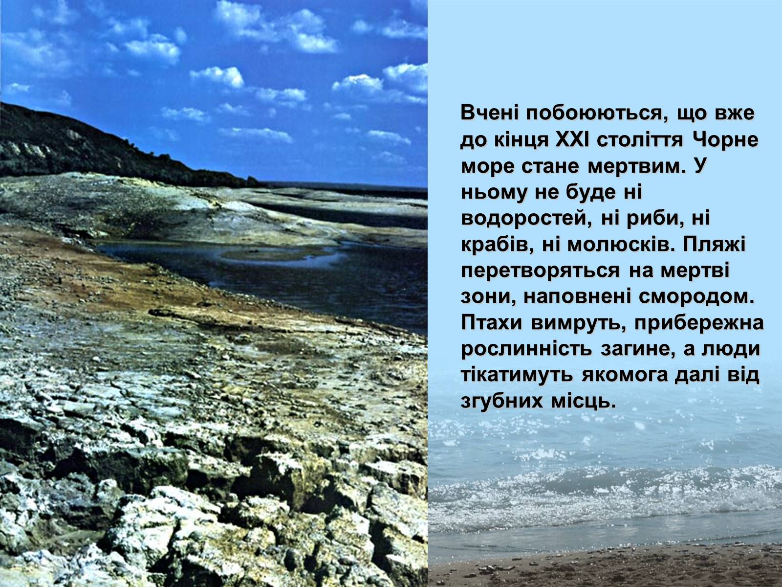 Презентація на тему «Фізико - географічна характеристика Чорного моря» - Слайд #12 Презентація на тему «Фізико - географічна характеристика Чорного моря» - Слайд #12
