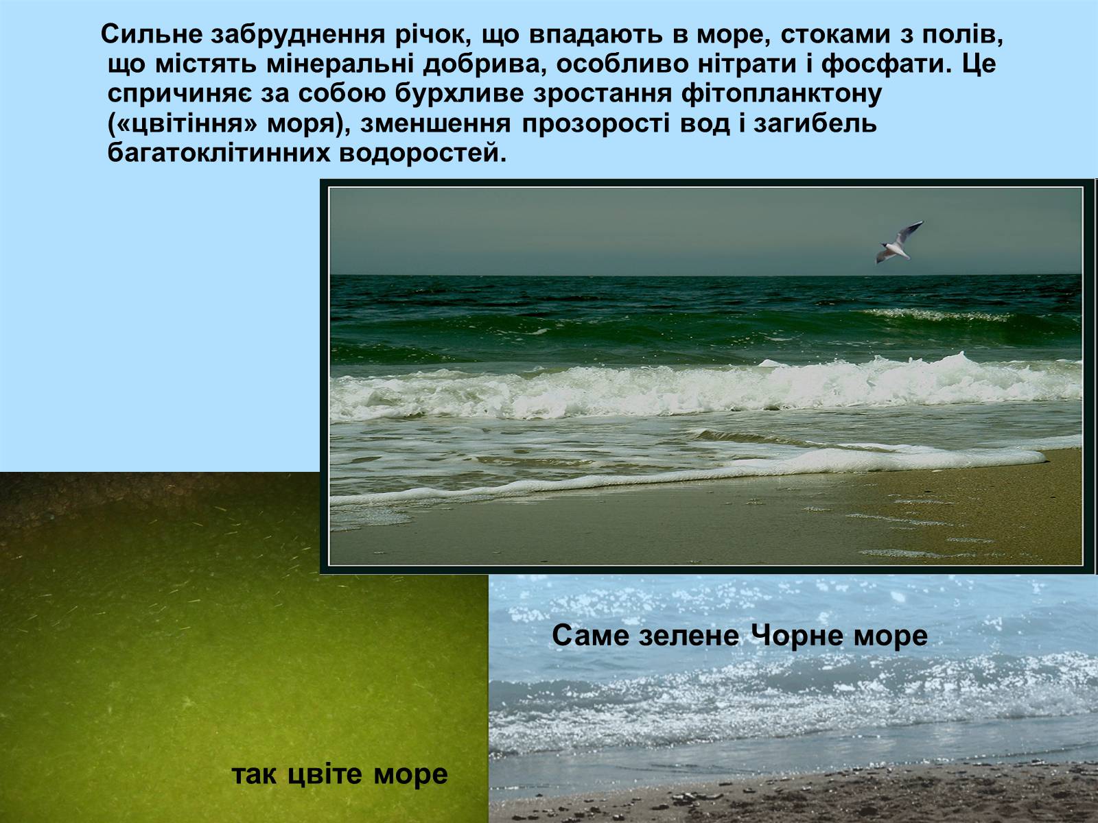 Презентація на тему «Фізико - географічна характеристика Чорного моря» - Слайд #15 Презентація на тему «Фізико - географічна характеристика Чорного моря» - Слайд #15