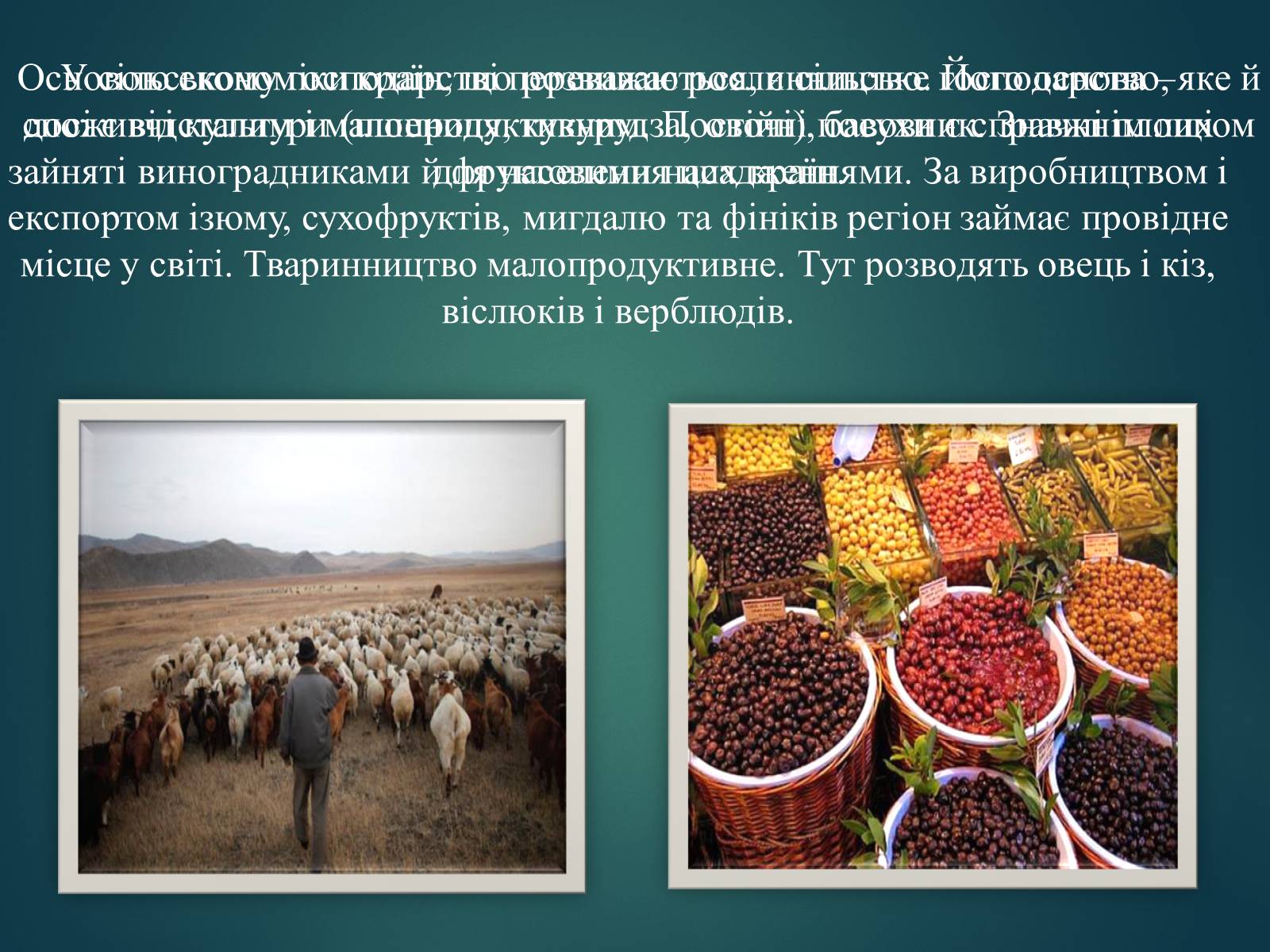 Презентація на тему «Країни Південно-Західної Азії» - Слайд #8 Презентація на тему «Країни Південно-Західної Азії» - Слайд #8