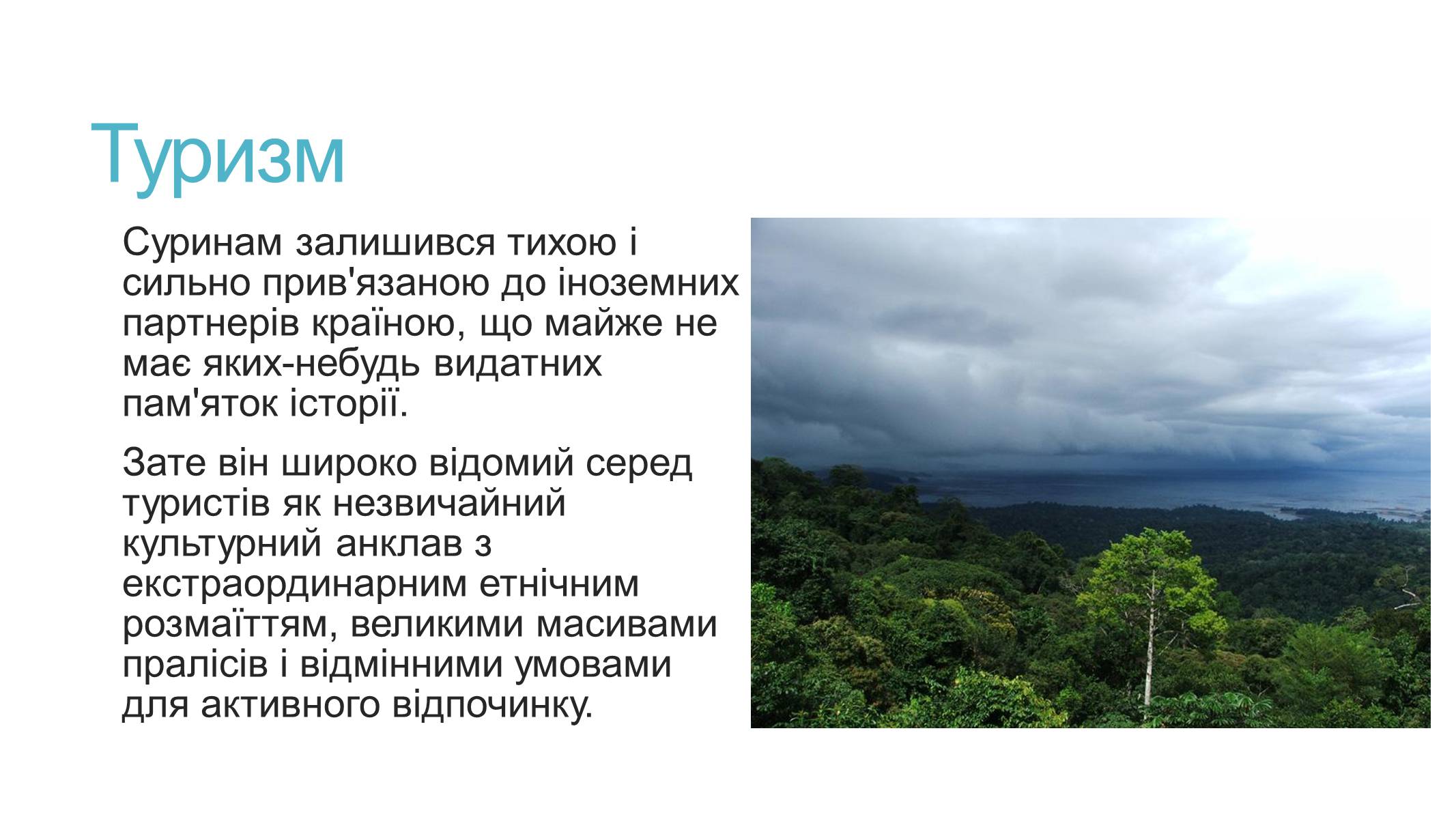 Презентація на тему «Суринам» - Слайд #9 Презентація на тему «Суринам» - Слайд #9
