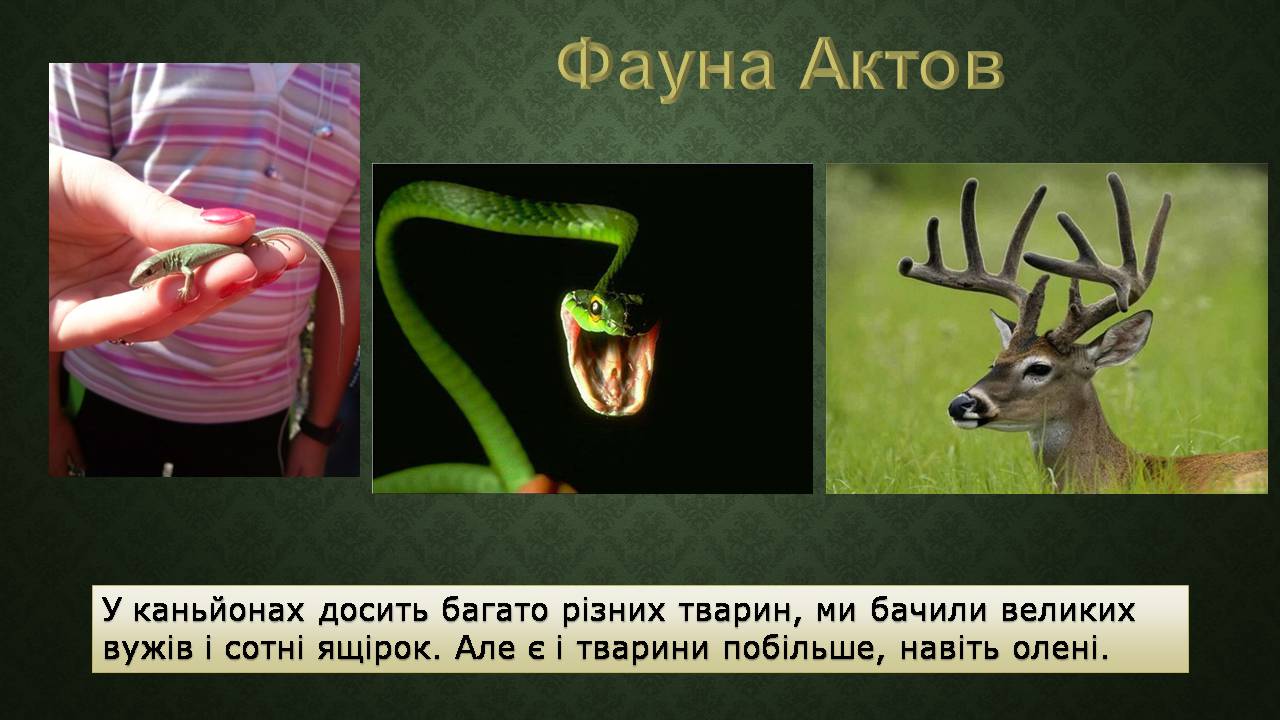 Презентація на тему «Актовий каньйон» - Слайд #13 Презентація на тему «Актовий каньйон» - Слайд #13