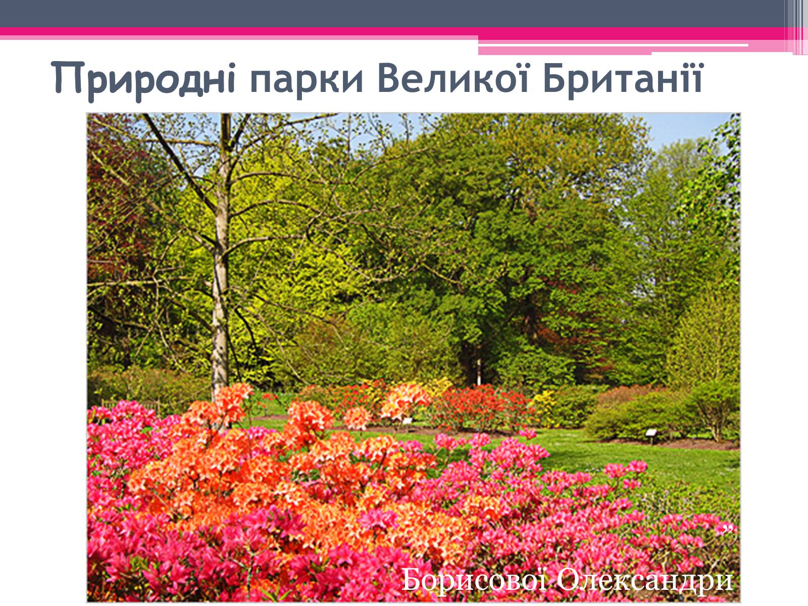 Презентація на тему «Парки Великобританії» - Слайд #1 Презентація на тему «Парки Великобританії» - Слайд #1