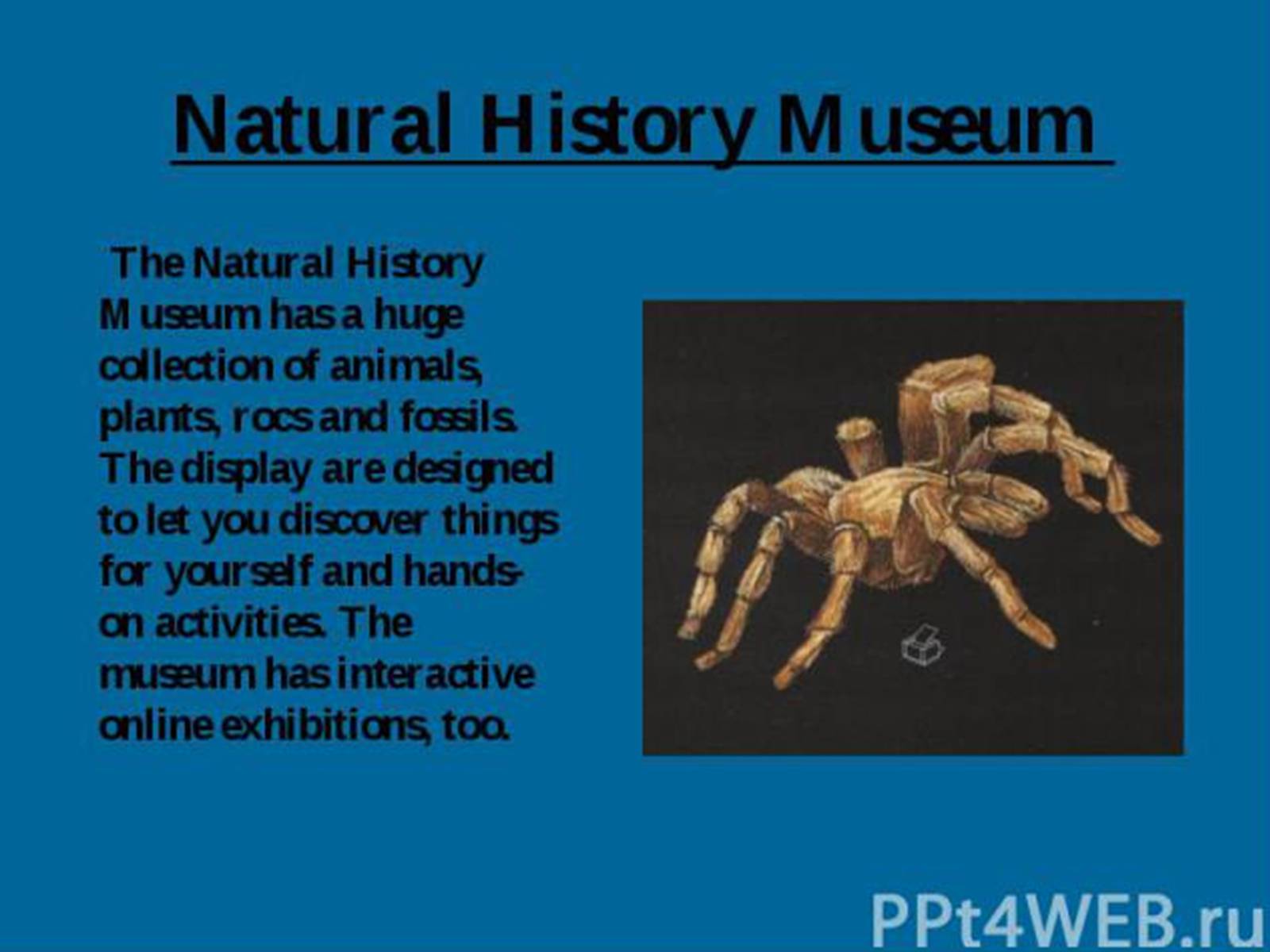 Презентація на тему «The British Museum» - Слайд #6