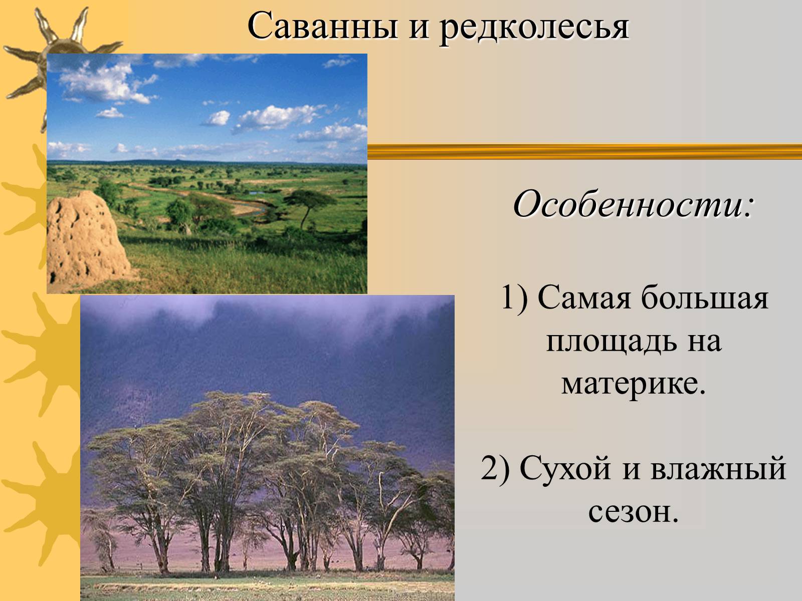 Презентація на тему «Природные зоны Африки» - Слайд #8 Презентація на тему «Природные зоны Африки» - Слайд #8