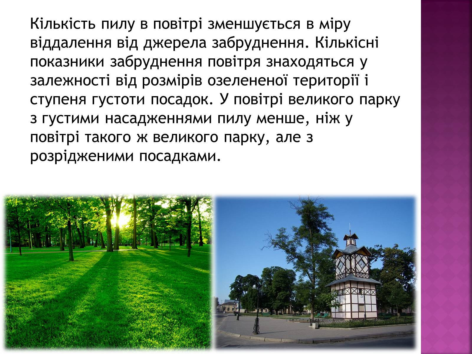 Презентація на тему «Вплив зелених насаджень на загазованість міста Броди» - Слайд #10 Презентація на тему «Вплив зелених насаджень на загазованість міста Броди» - Слайд #10