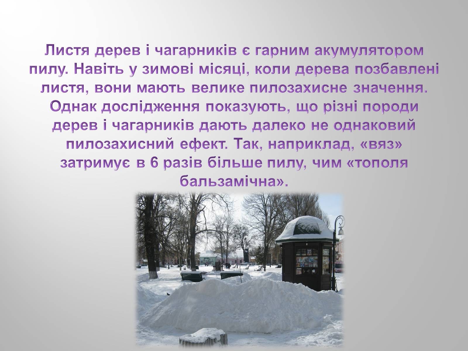 Презентація на тему «Вплив зелених насаджень на загазованість міста Броди» - Слайд #11 Презентація на тему «Вплив зелених насаджень на загазованість міста Броди» - Слайд #11