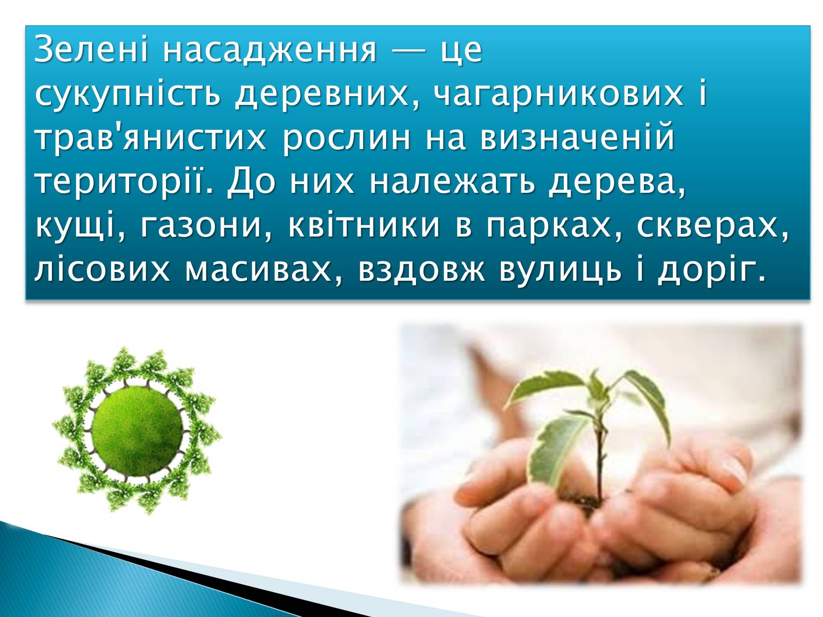 Презентація на тему «Вплив зелених насаджень на загазованість міста Броди» - Слайд #2 Презентація на тему «Вплив зелених насаджень на загазованість міста Броди» - Слайд #2