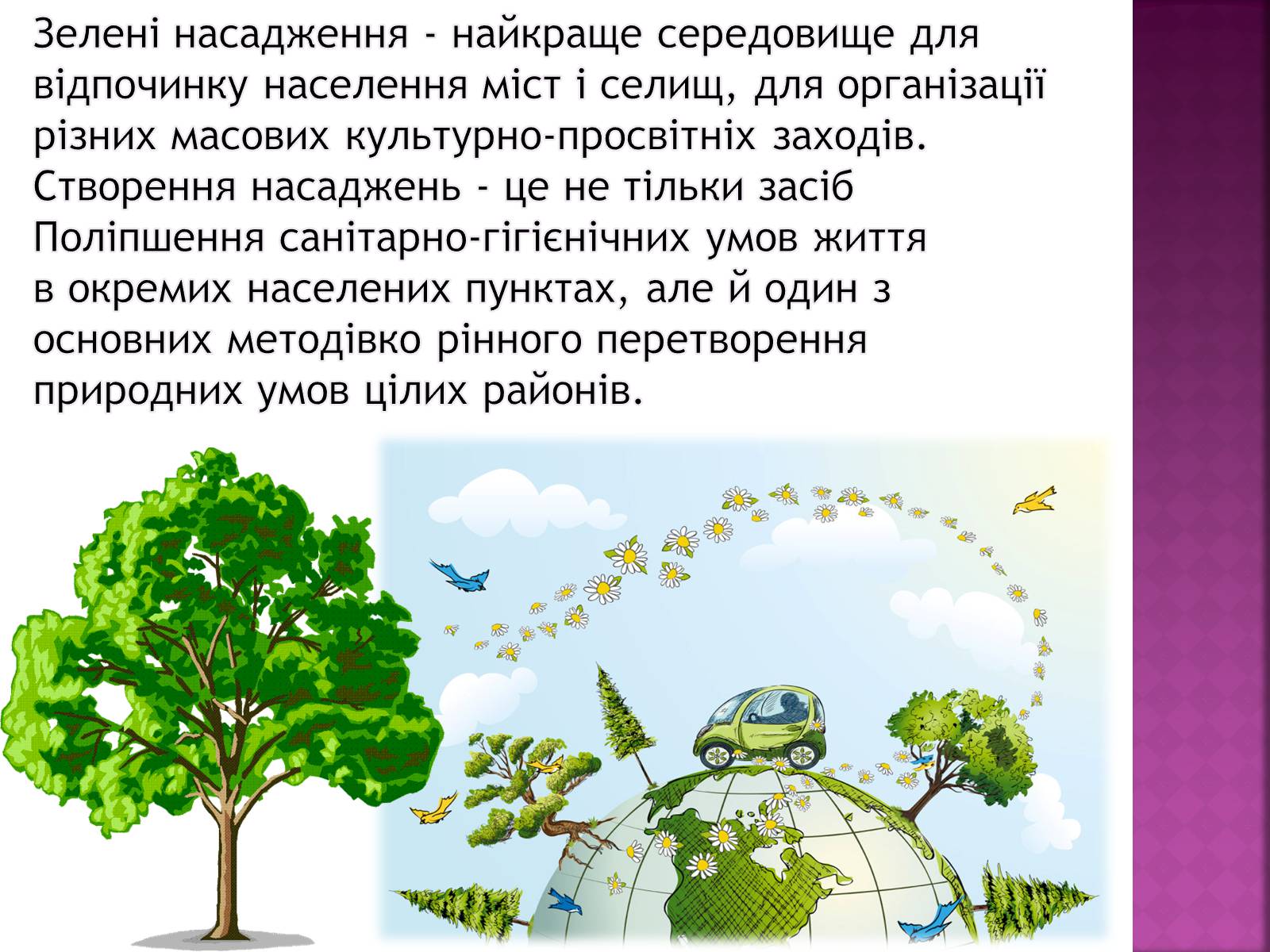Презентація на тему «Вплив зелених насаджень на загазованість міста Броди» - Слайд #5 Презентація на тему «Вплив зелених насаджень на загазованість міста Броди» - Слайд #5