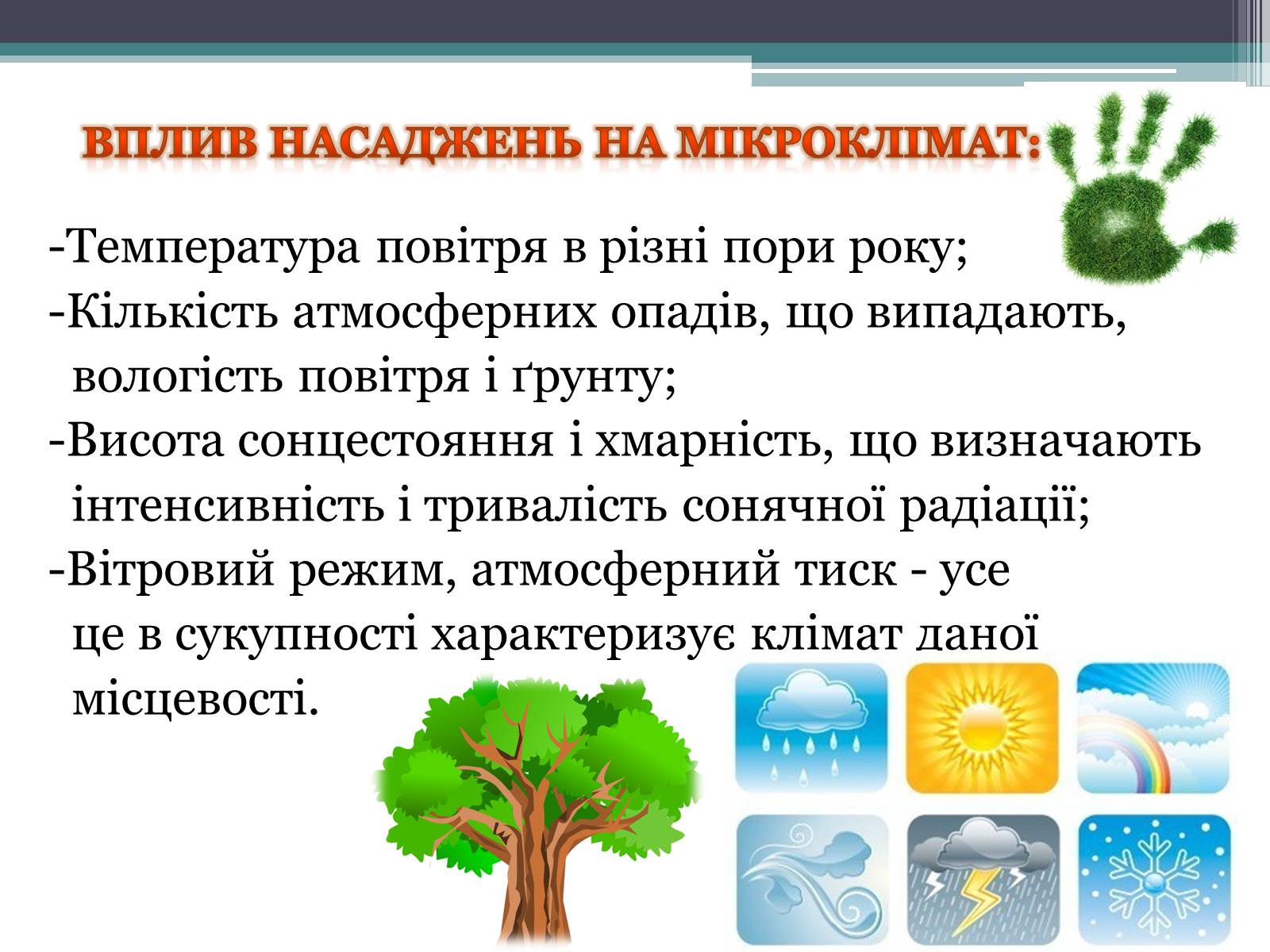 Презентація на тему «Вплив зелених насаджень на загазованість міста Броди» - Слайд #6 Презентація на тему «Вплив зелених насаджень на загазованість міста Броди» - Слайд #6